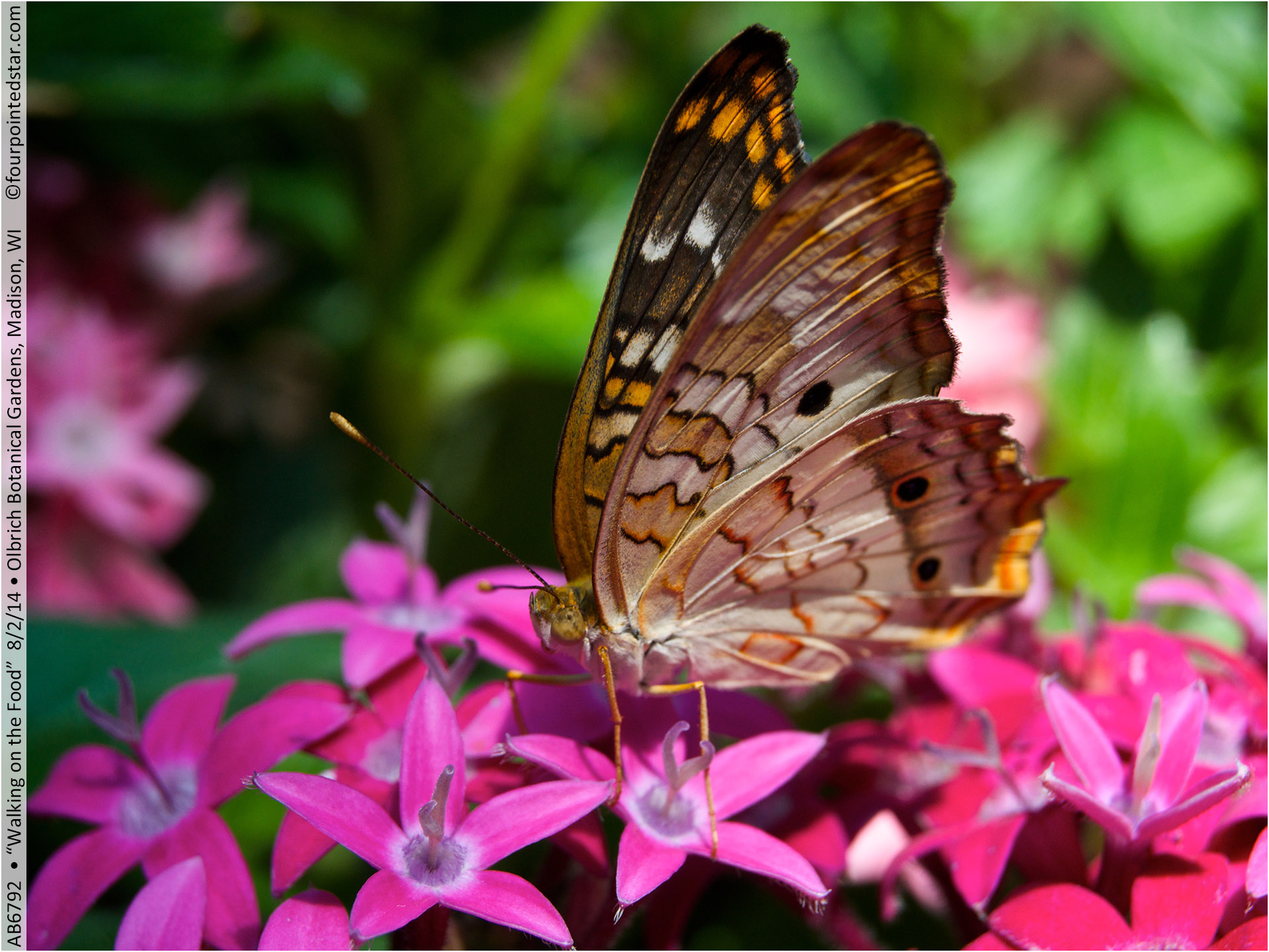 AB6792 140802 130643