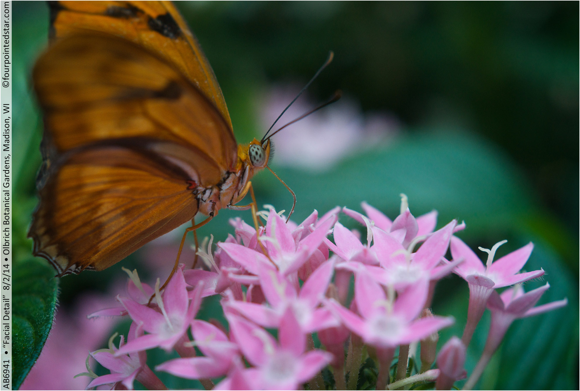 AB6941 140802 134247