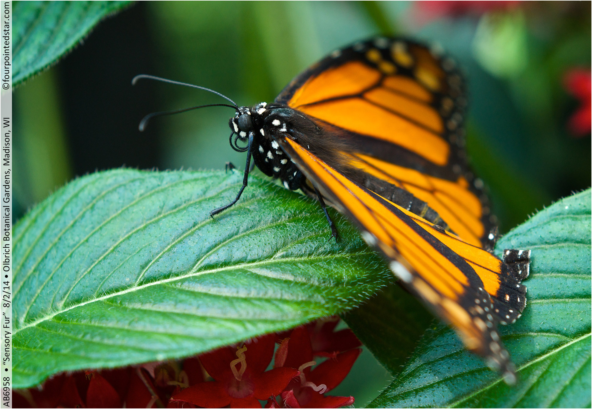 AB6958 140802 134350