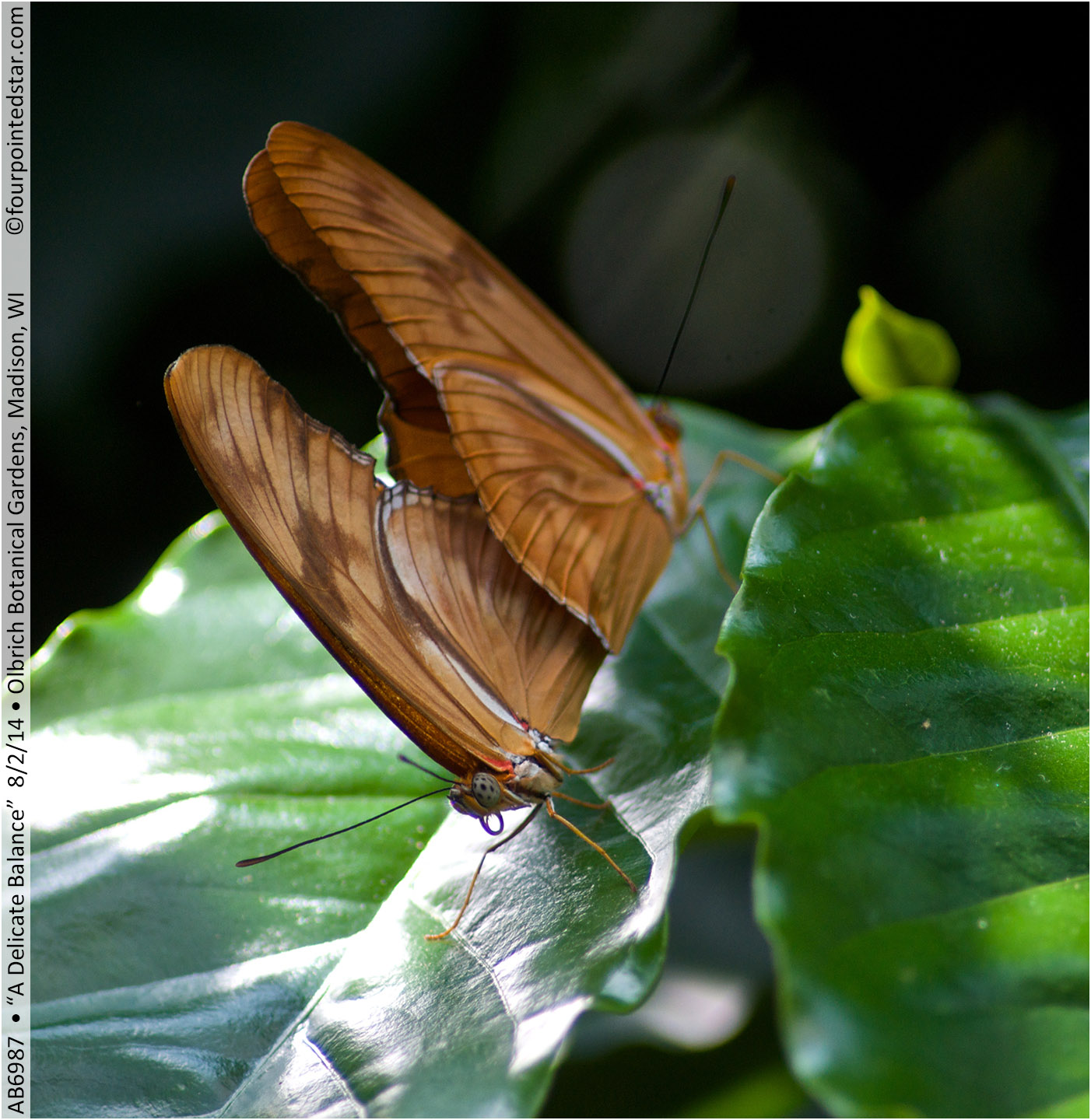 AB6987 140802 134816