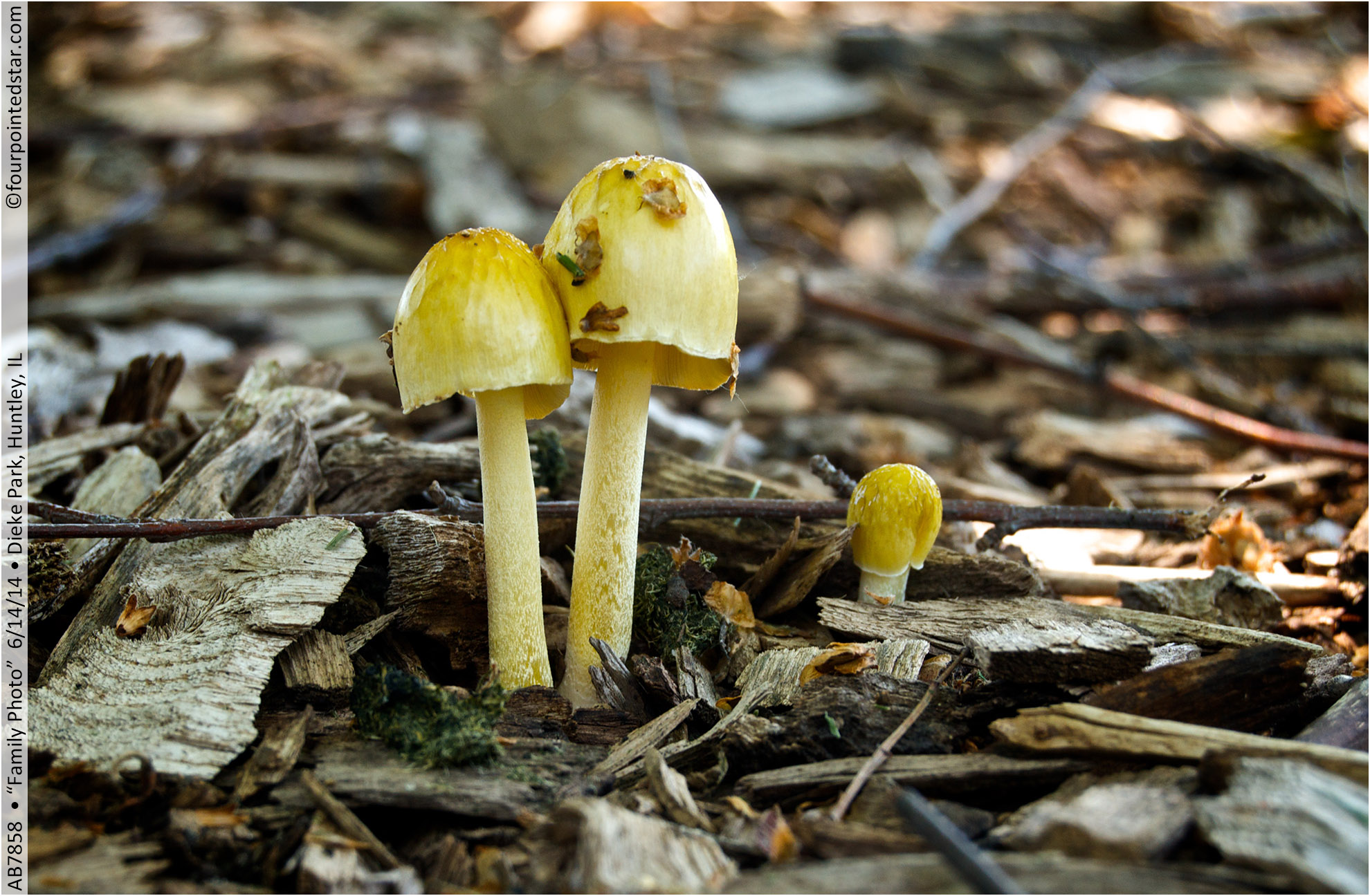 AB7858 140614 122410