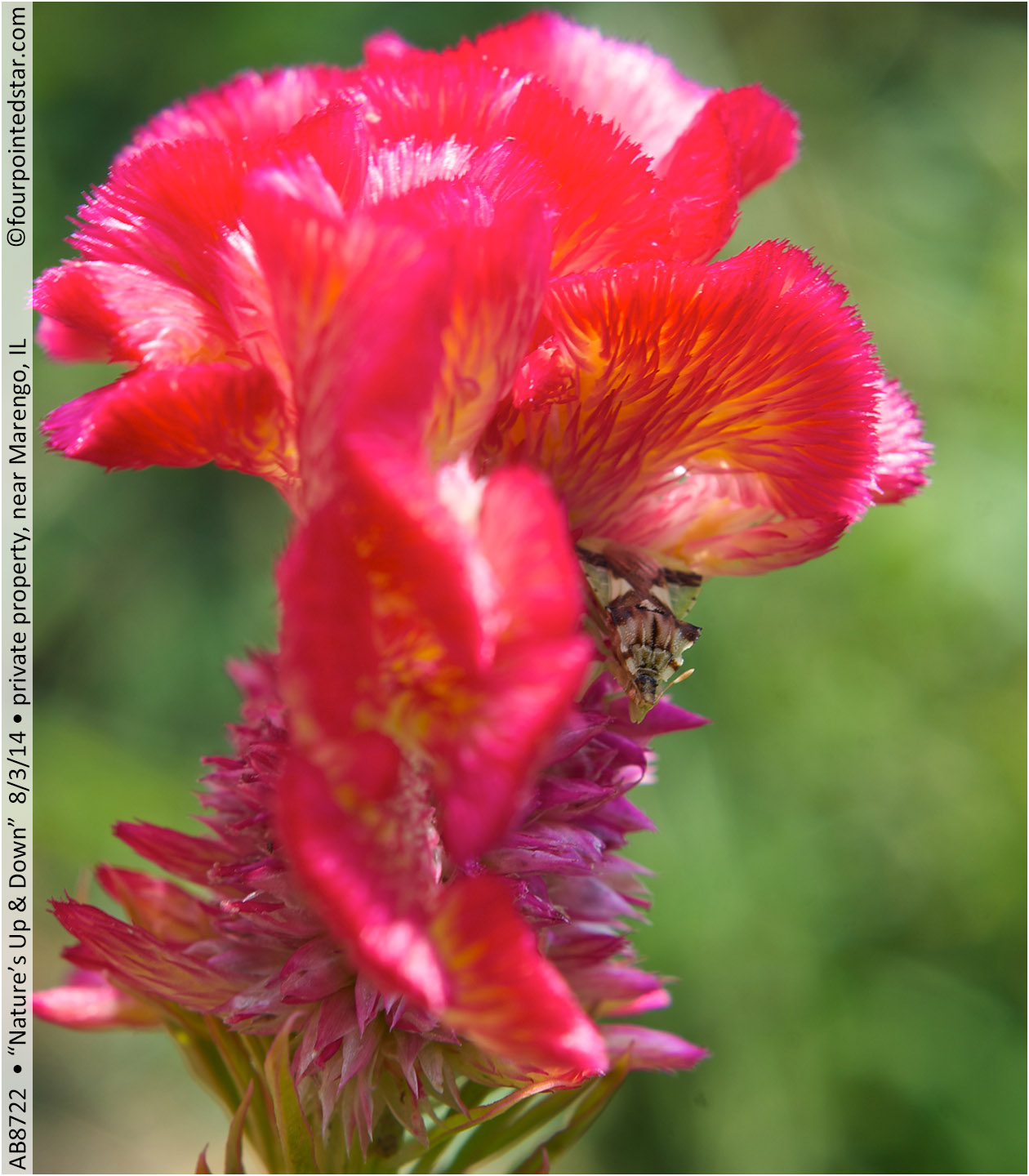 AB8722 140803 151857