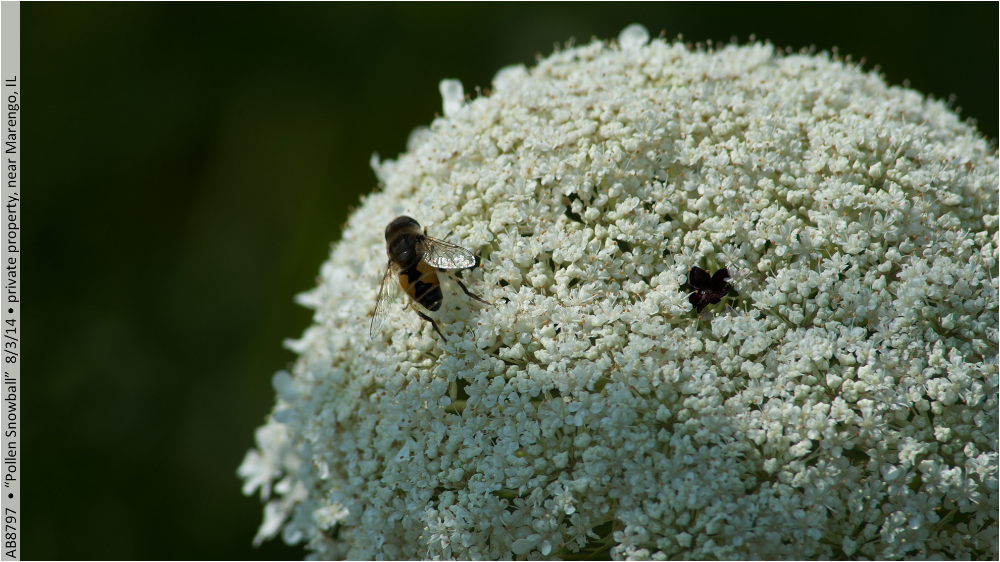 AB8797 140803 155237