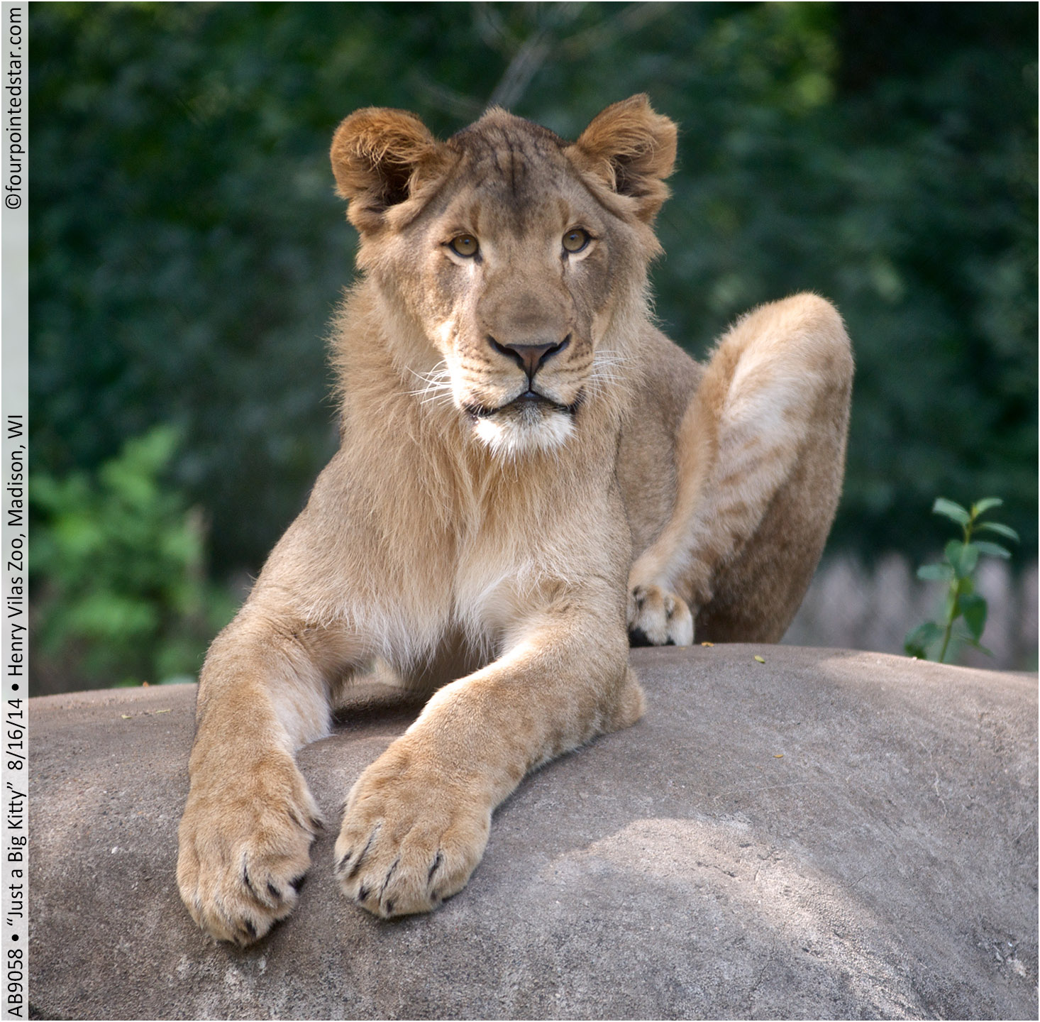 AB9058 140816 105553