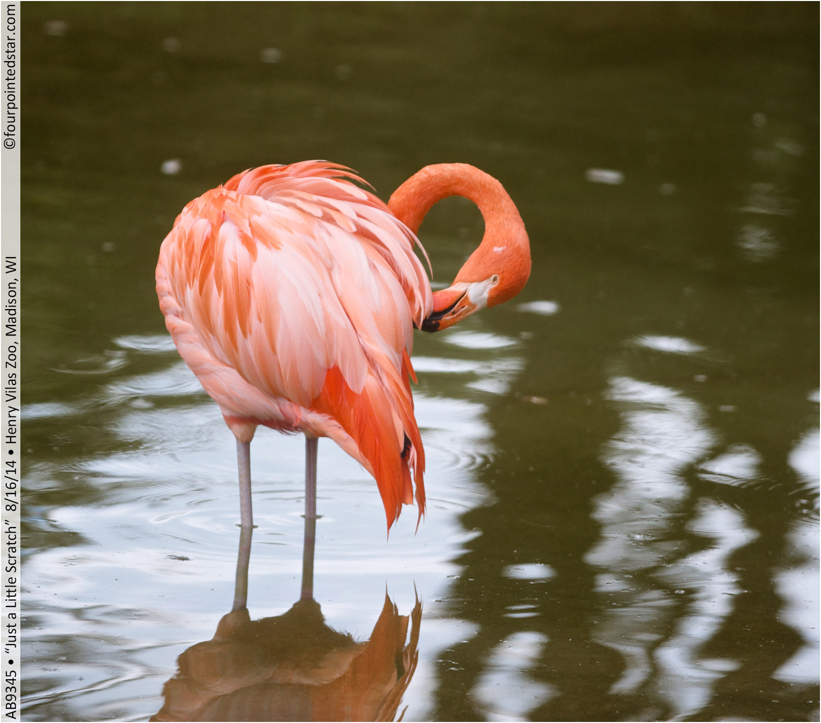 AB9345 140816 130816