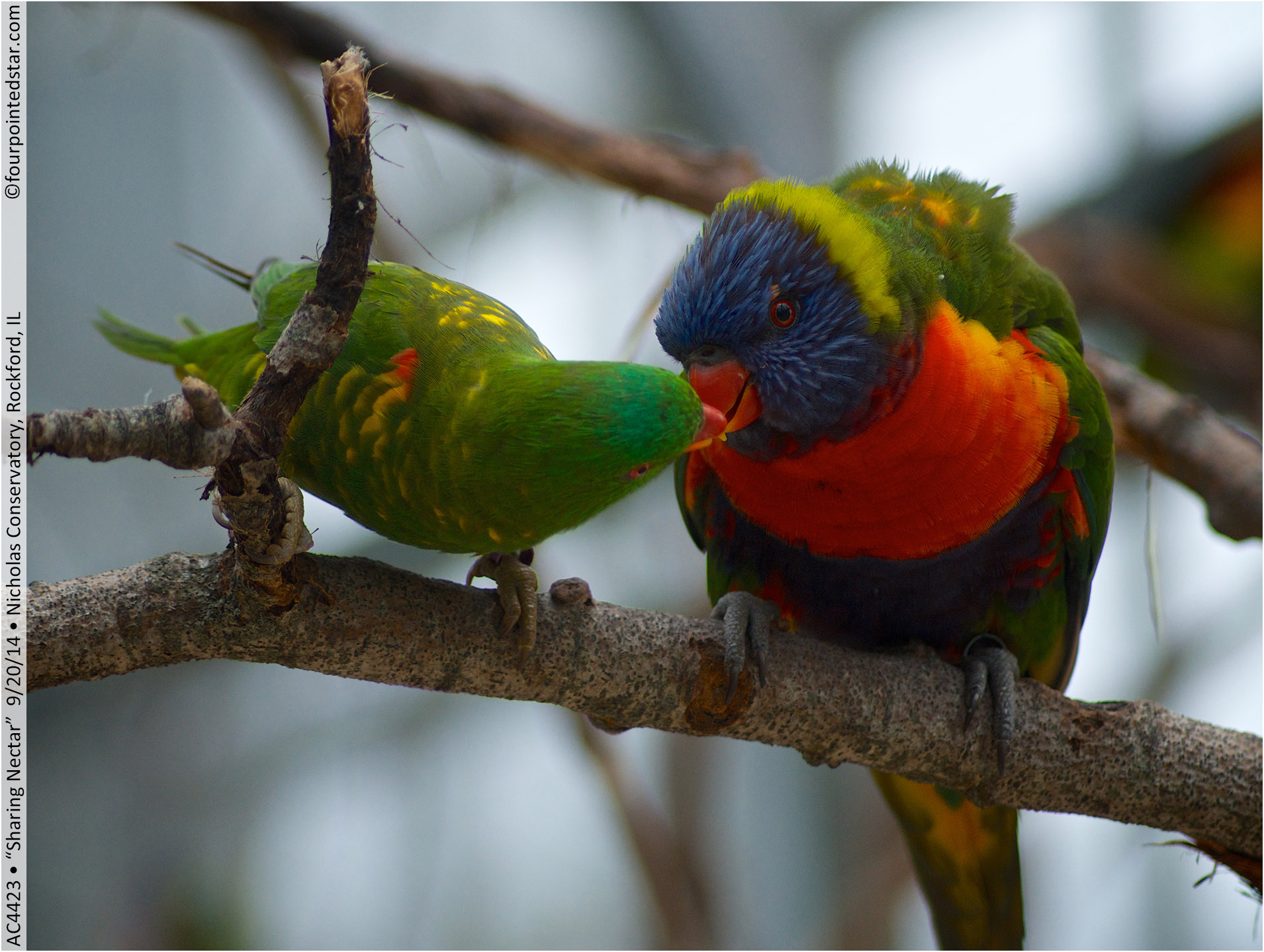 AC4423 140920 141718