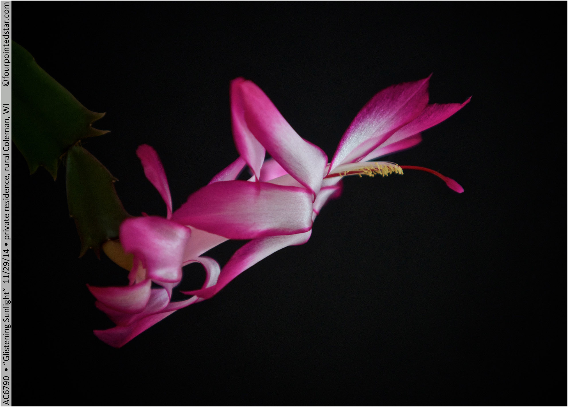 AC6790 141129 090037