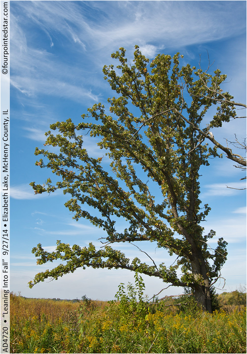 AD4720 140927 150327