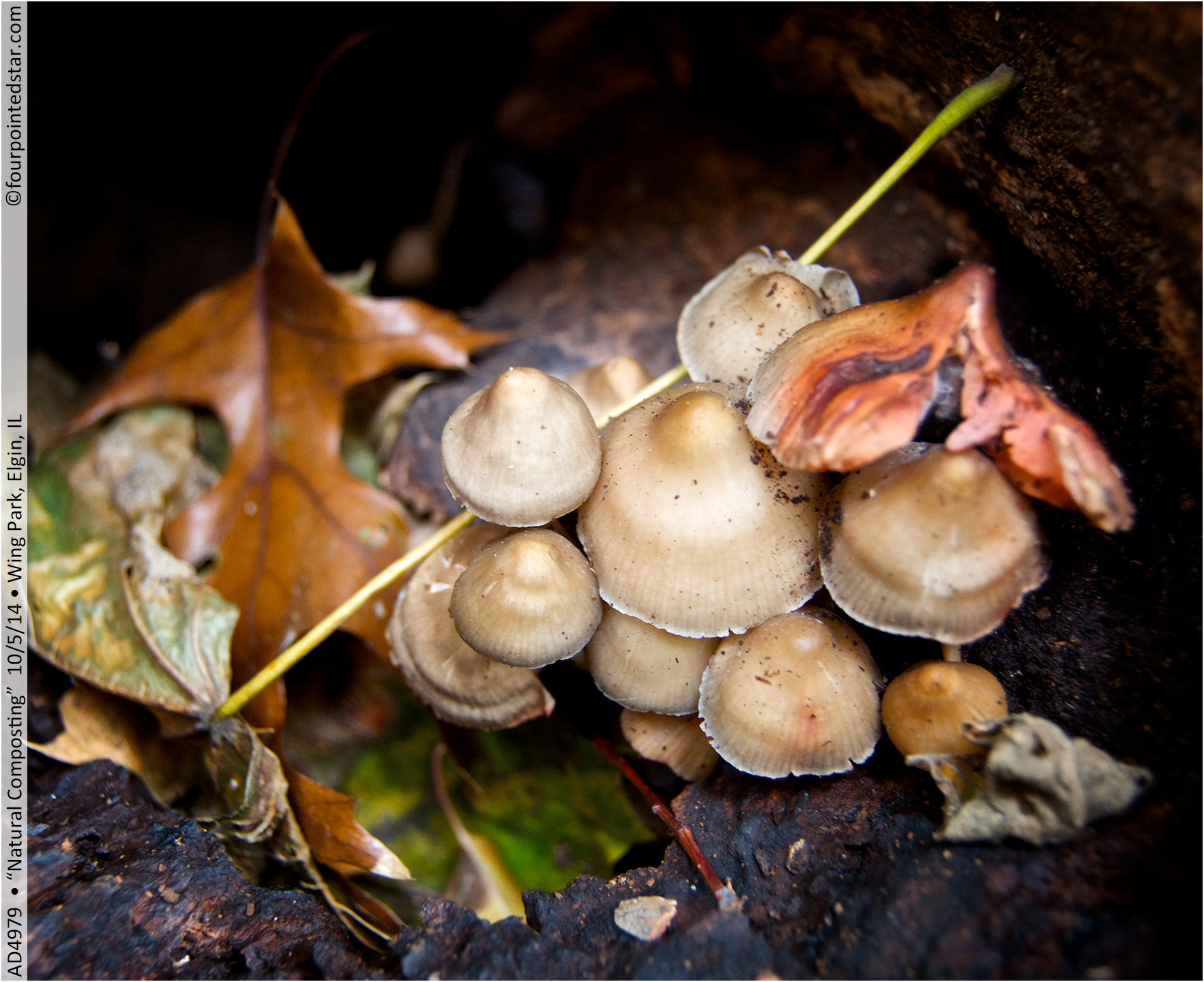 AD4979 141005 150932