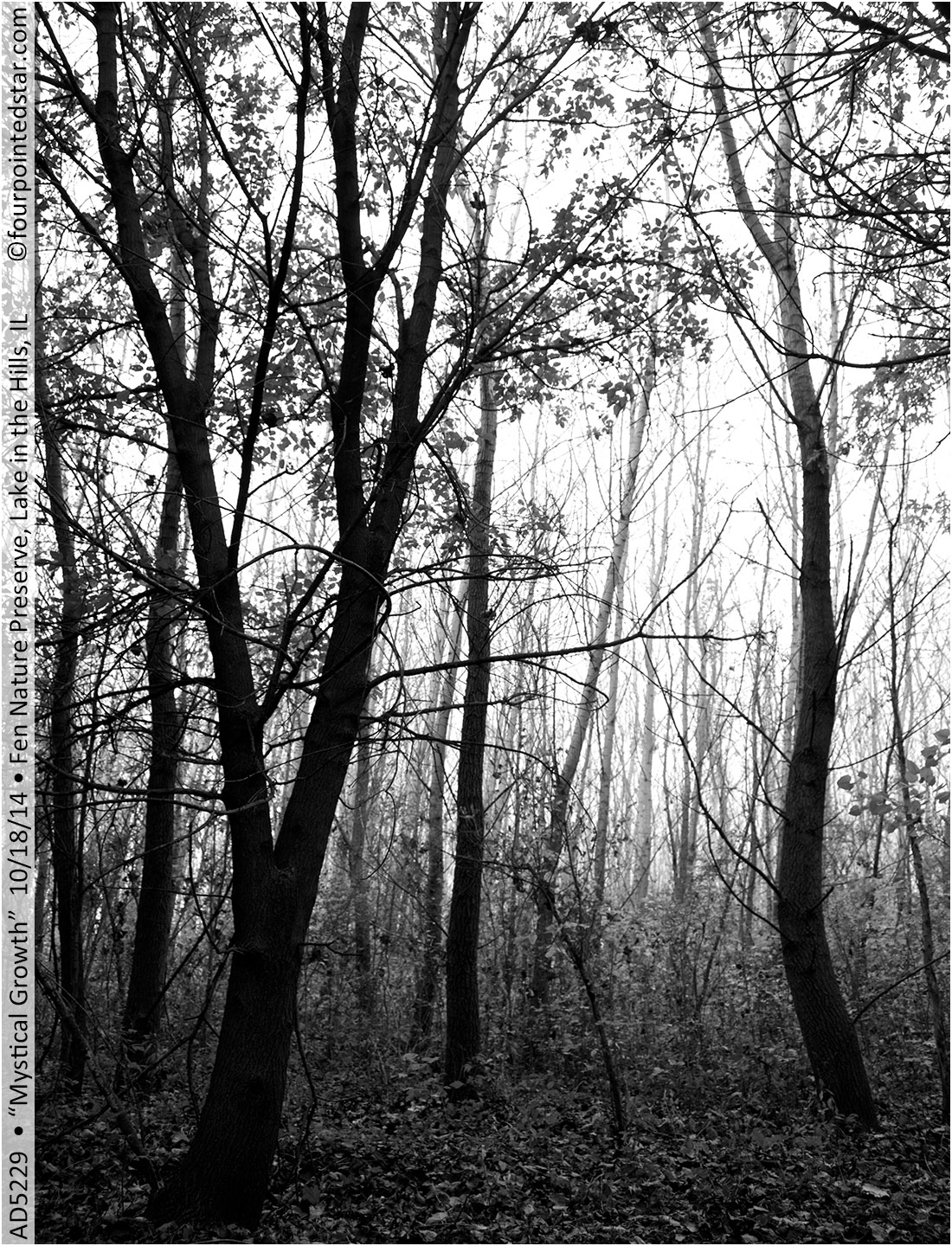 AD5229 141018 125159