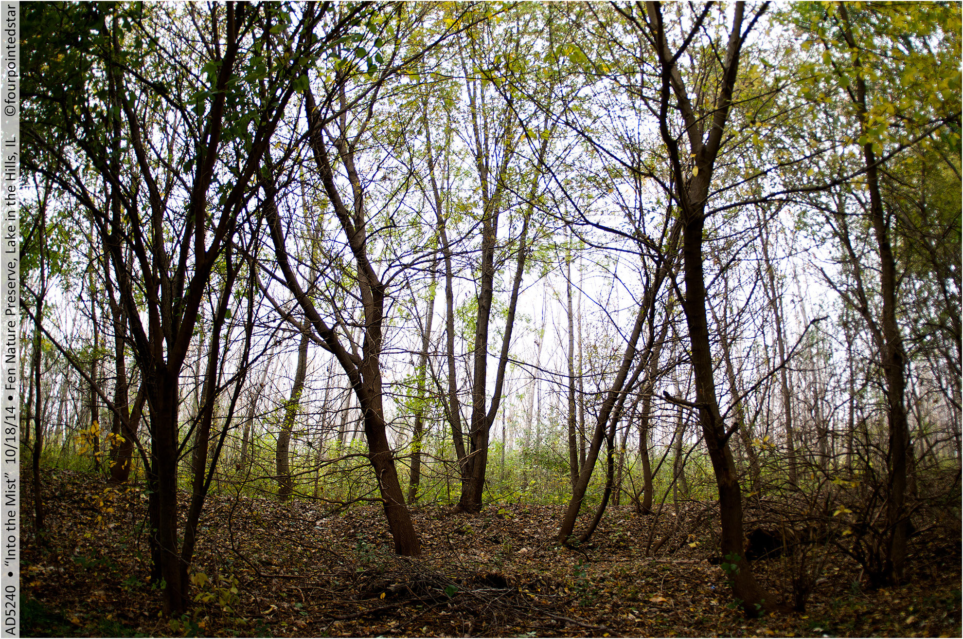 AD5240 141018 125523