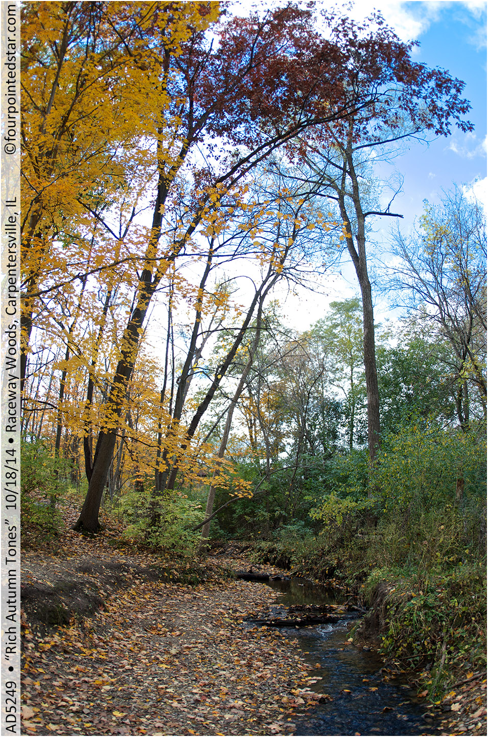 AD5249 141018 143946