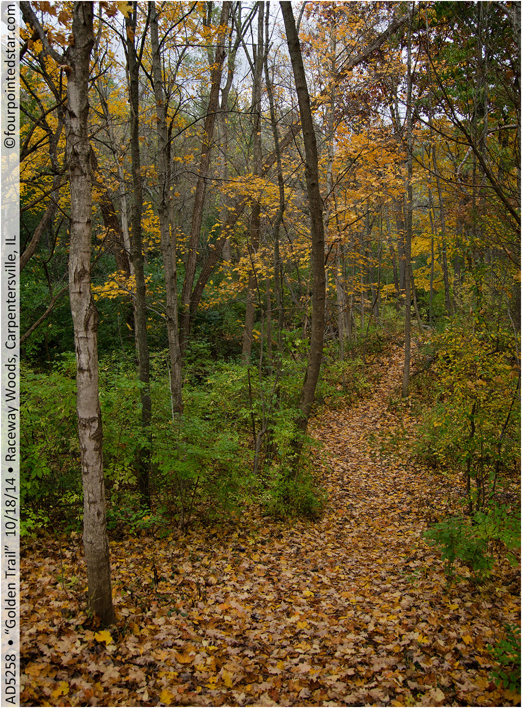 AD5258 141018 145054