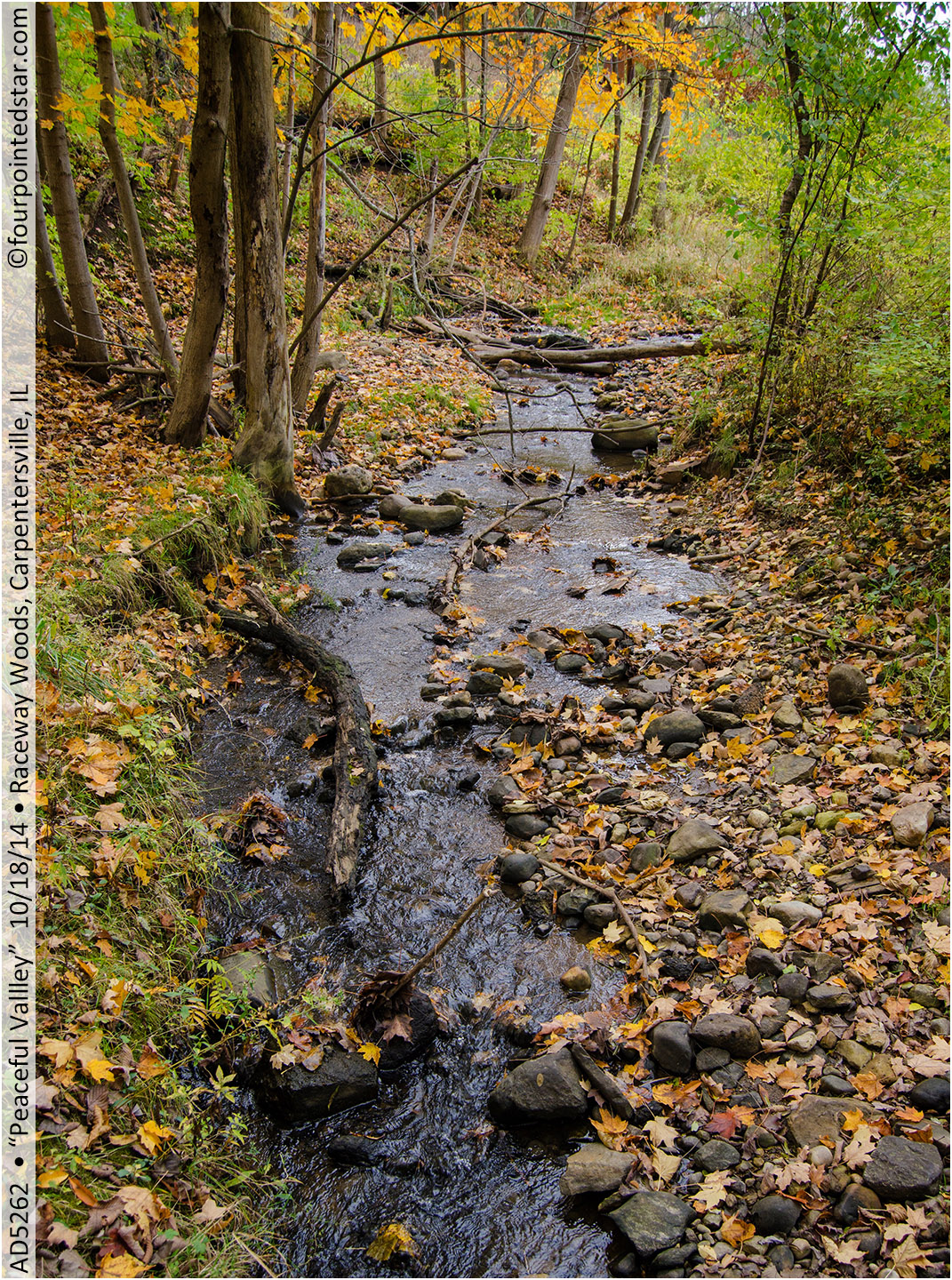 AD5262 141018 145244