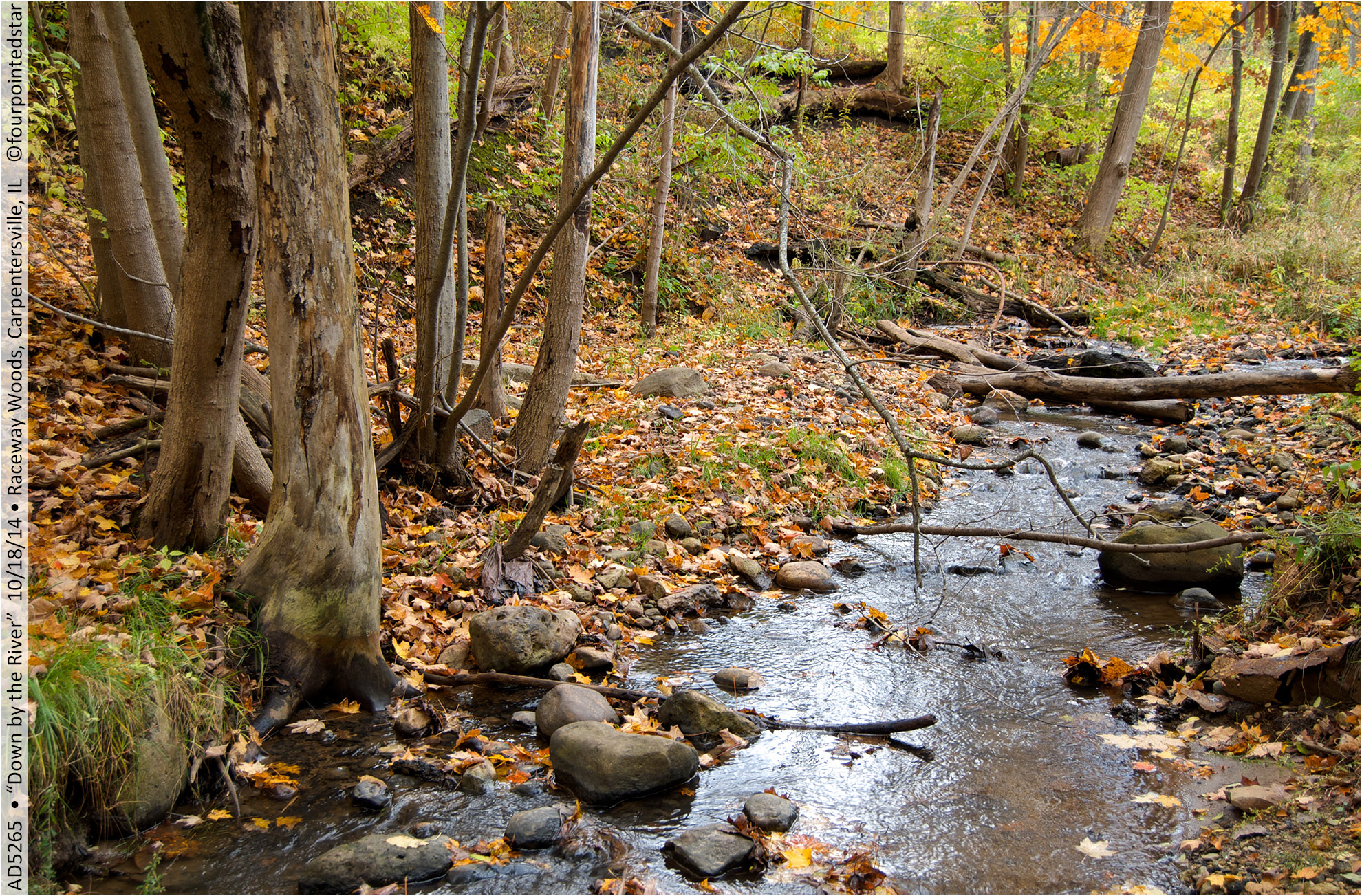 AD5265 141018 145443