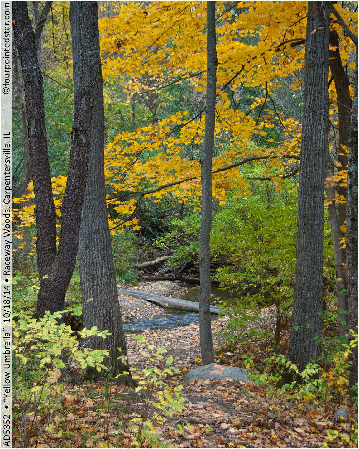 AD5352 141018 151837