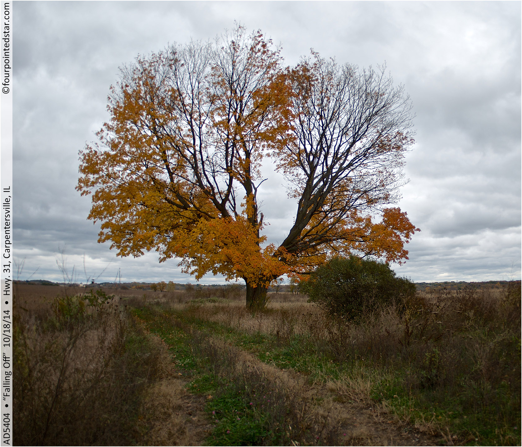 AD5404 141018 153953