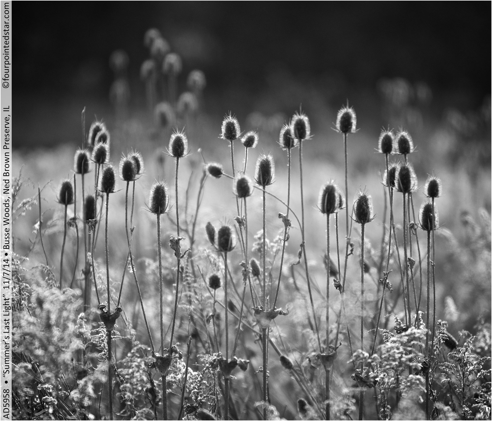 AD5958 141107 133409