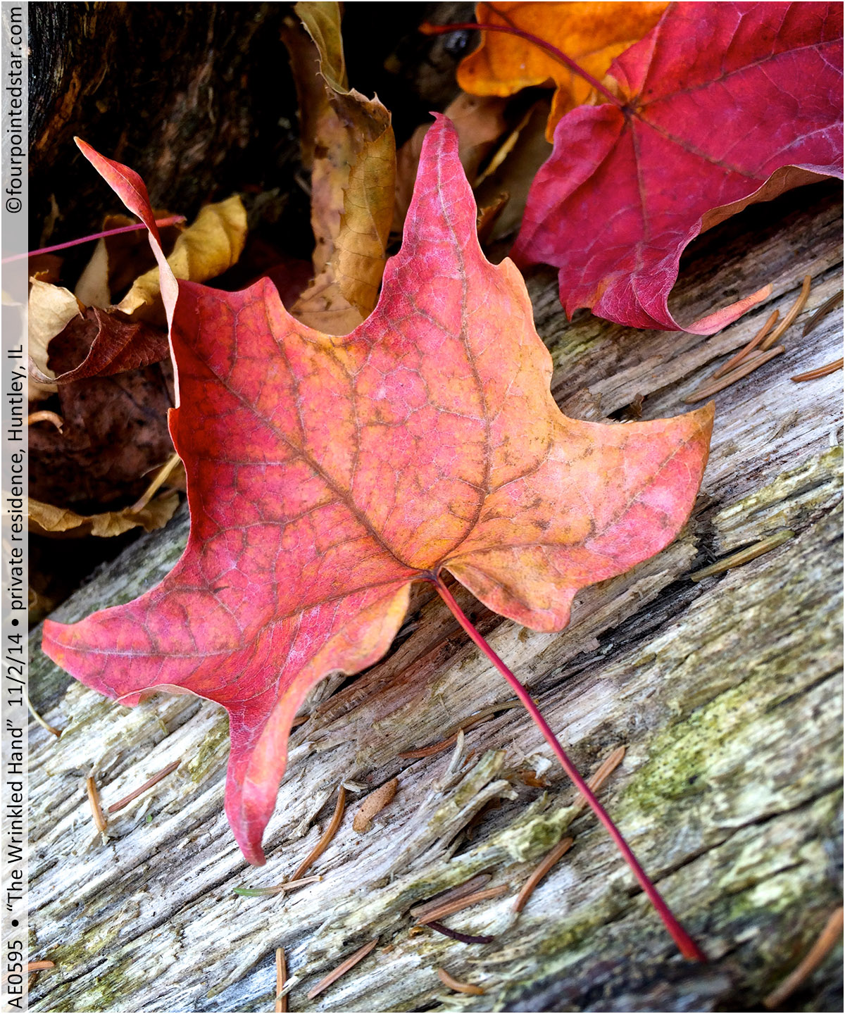 AE0595 141102 135152