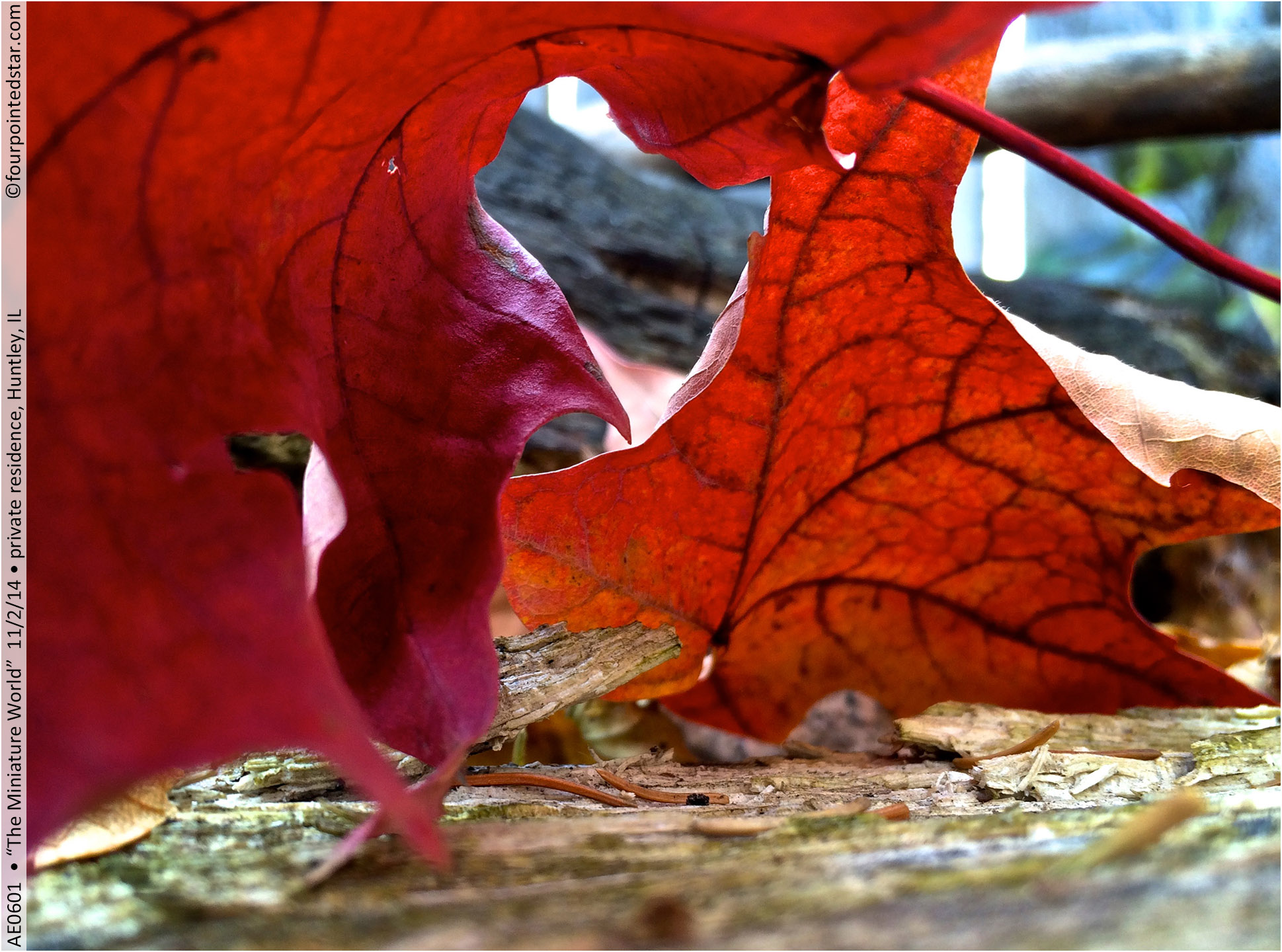 AE0601 141102 135442