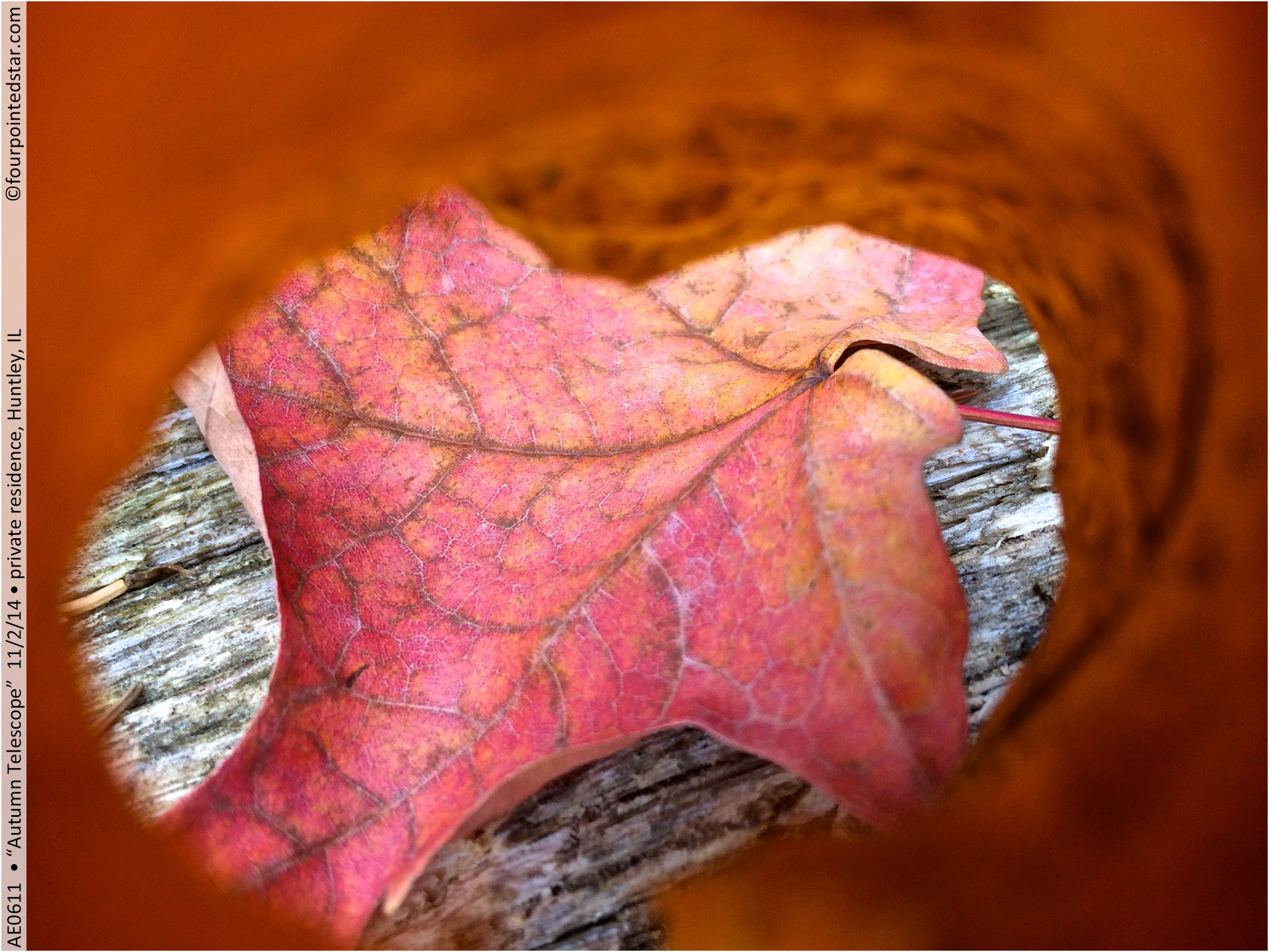 AE0611 141102 135636