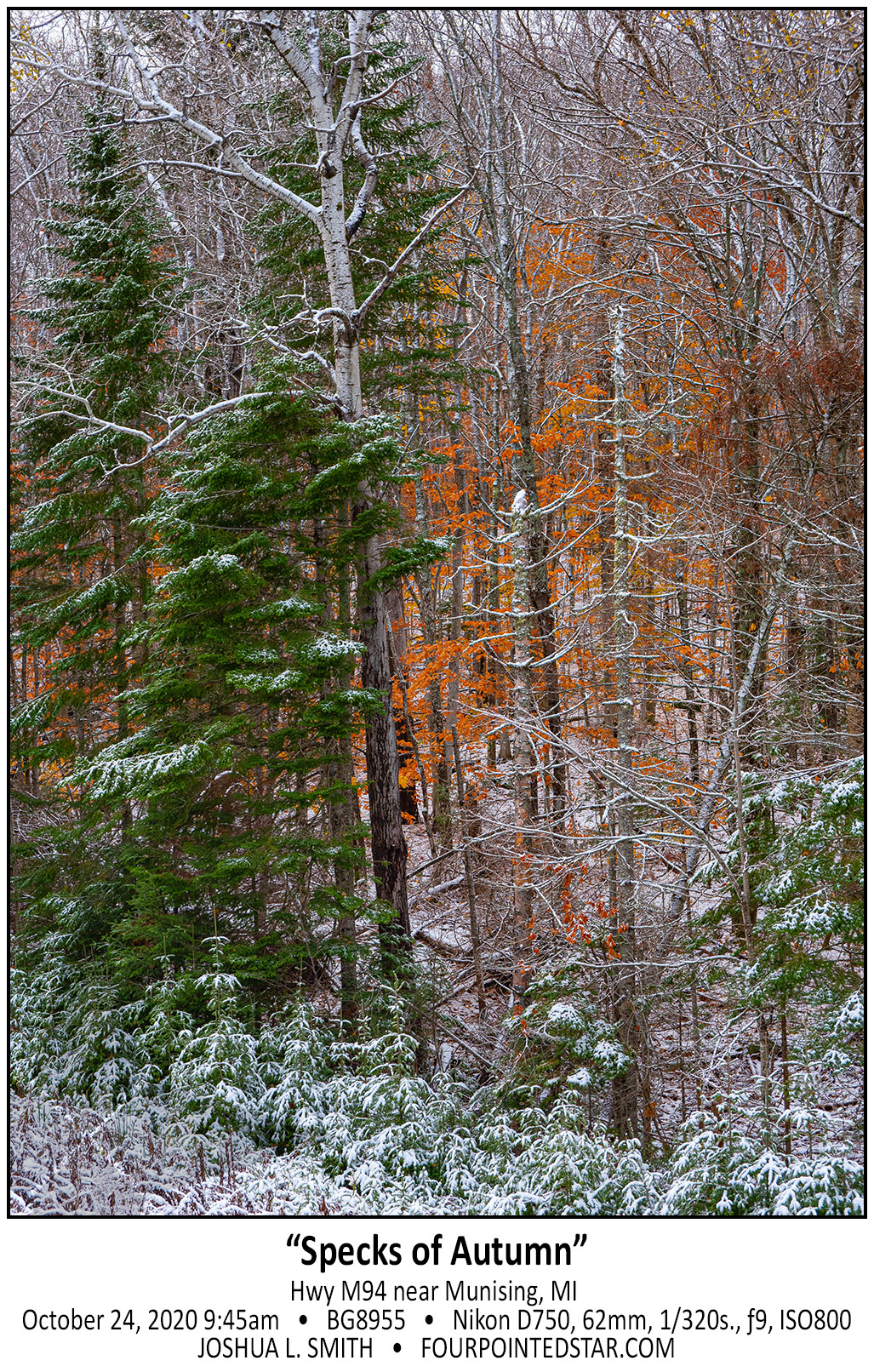 BG8955 201024 094508