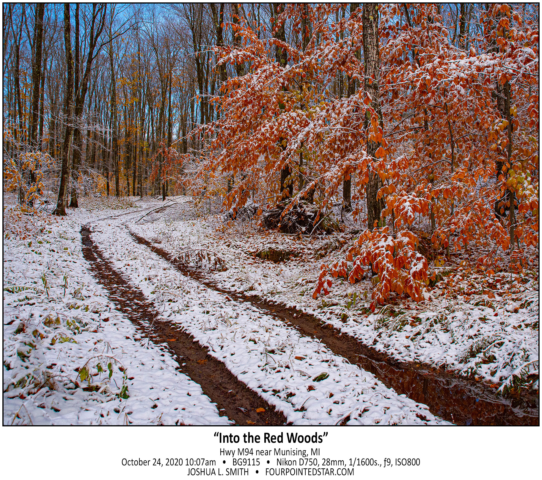 BG9115 201024 100709