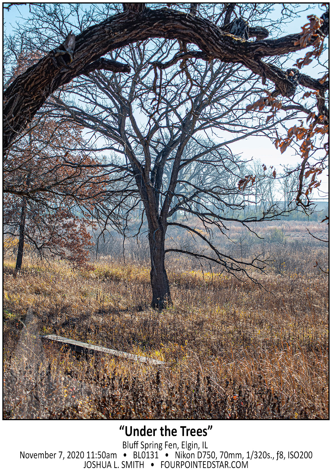 BL0131 201107 115014