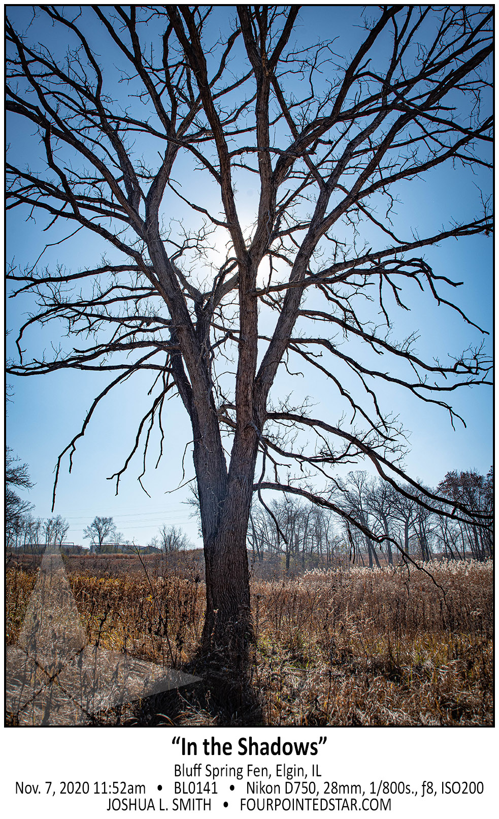 BL0141 201107 115242