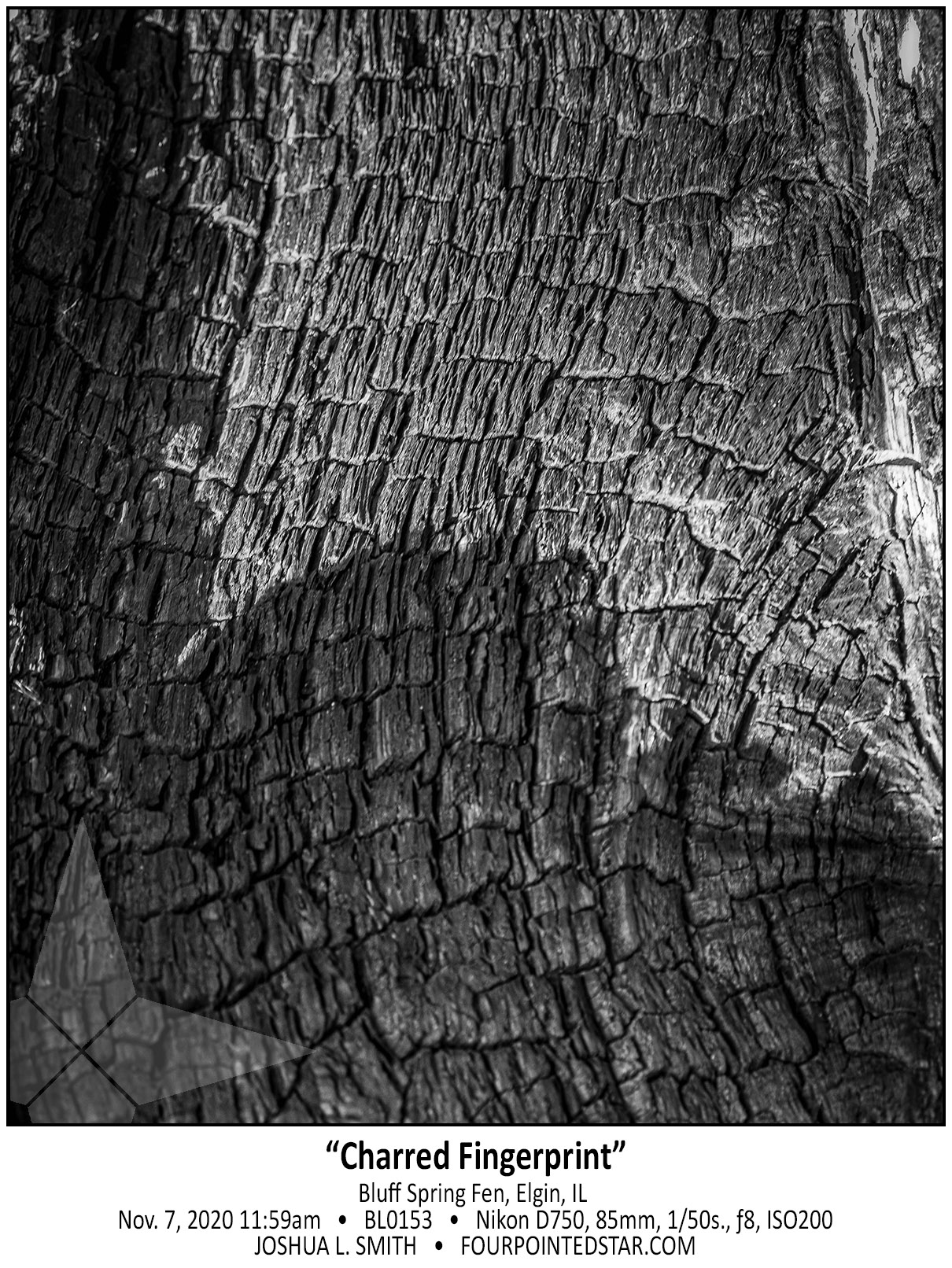 BL0153 201107 115958