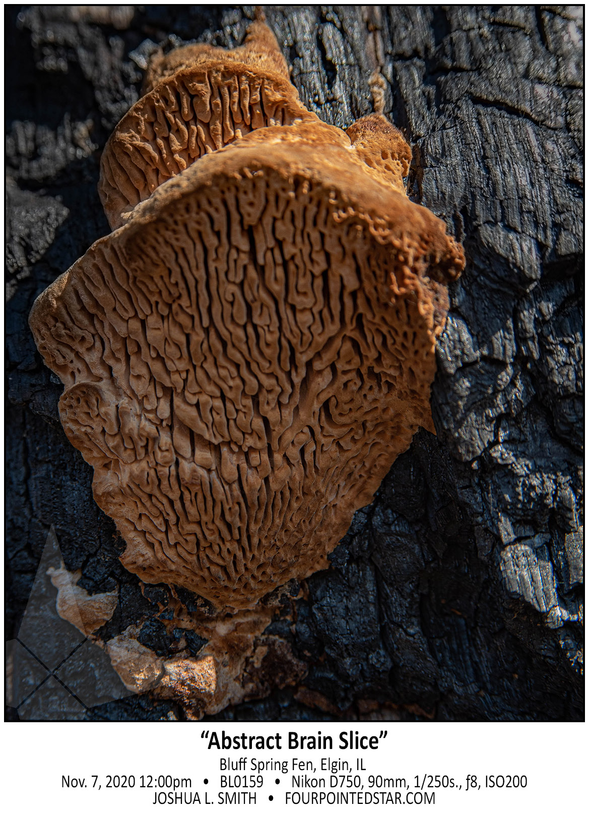 BL0159 201107 120016