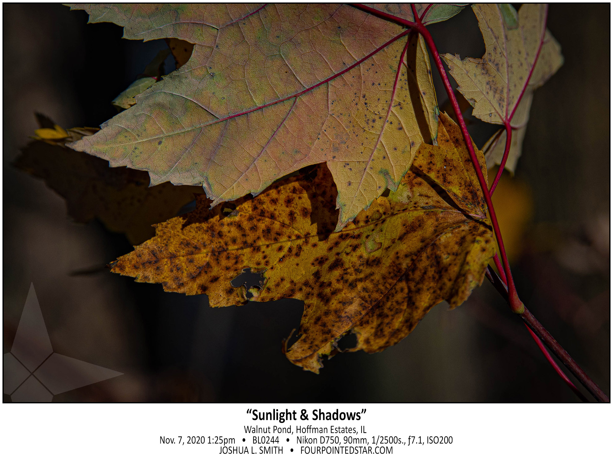 BL0244 201107 132537 copy