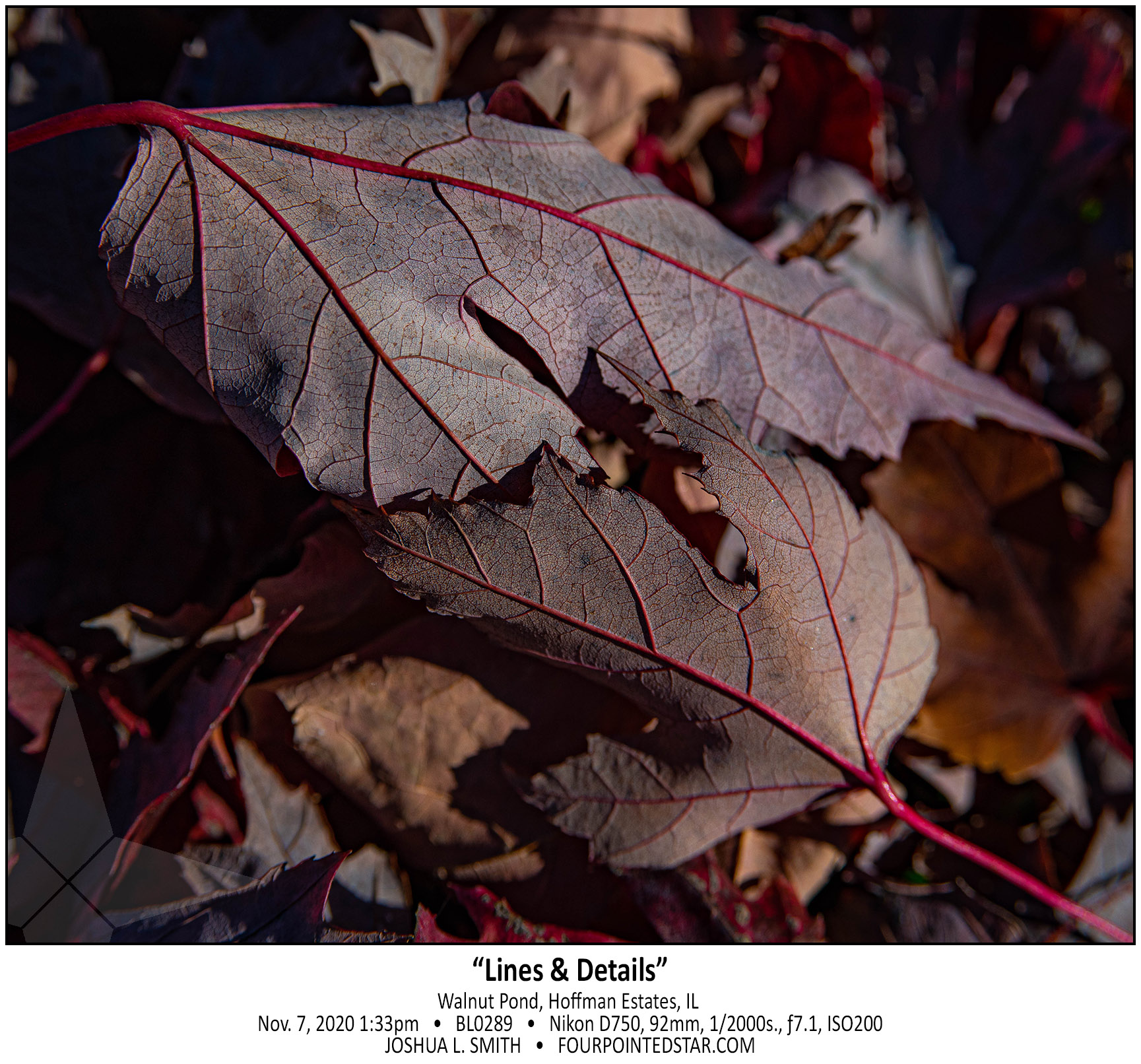 BL0289 201107 133353