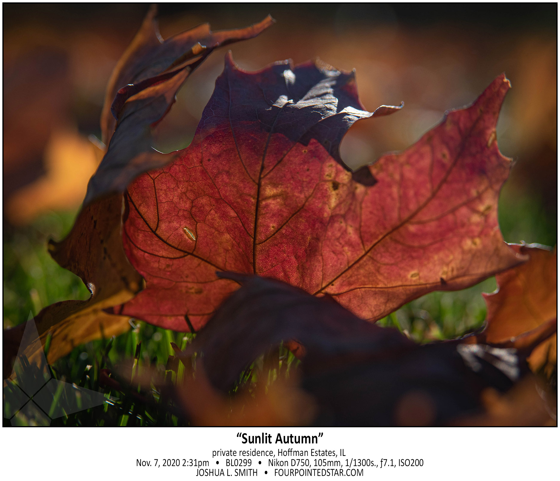 BL0299 201107 143109