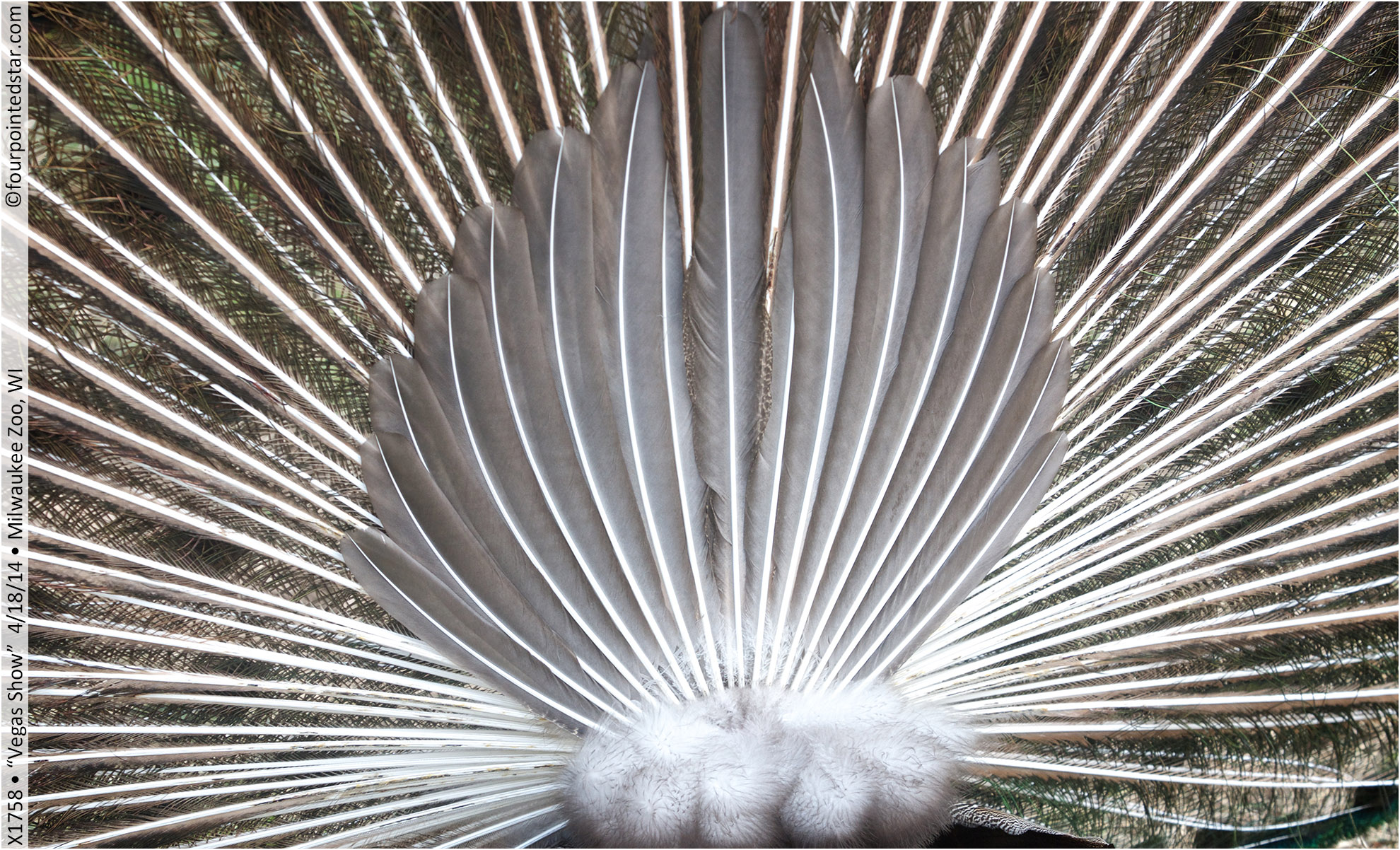 X1758 140418 093800 copy