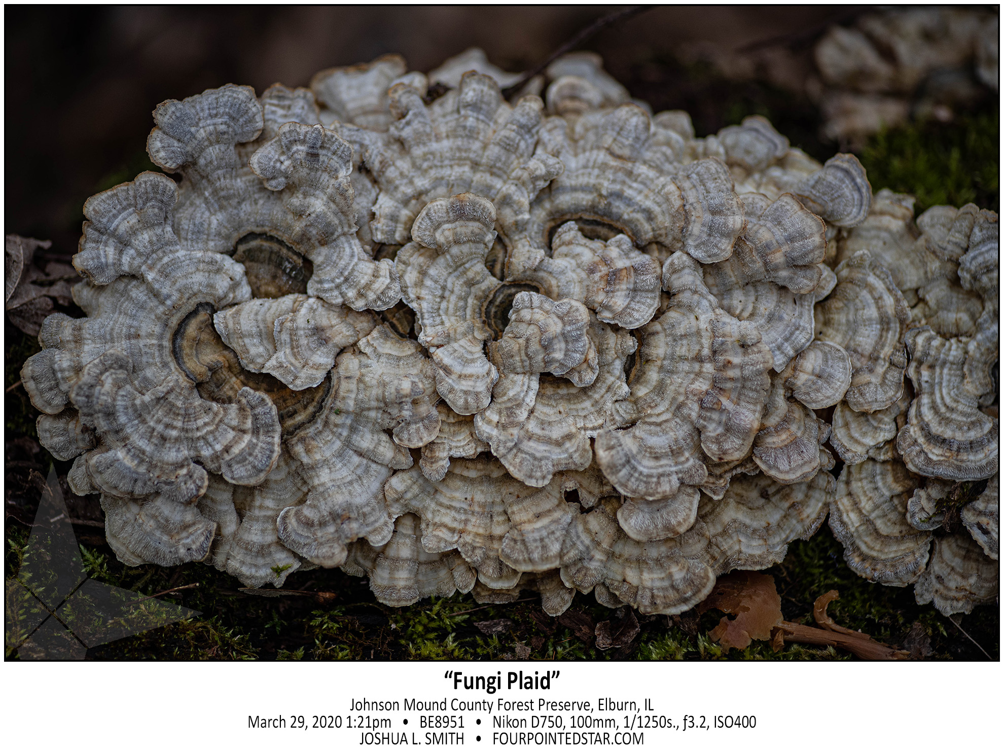 BE8951 200329 132156 copy