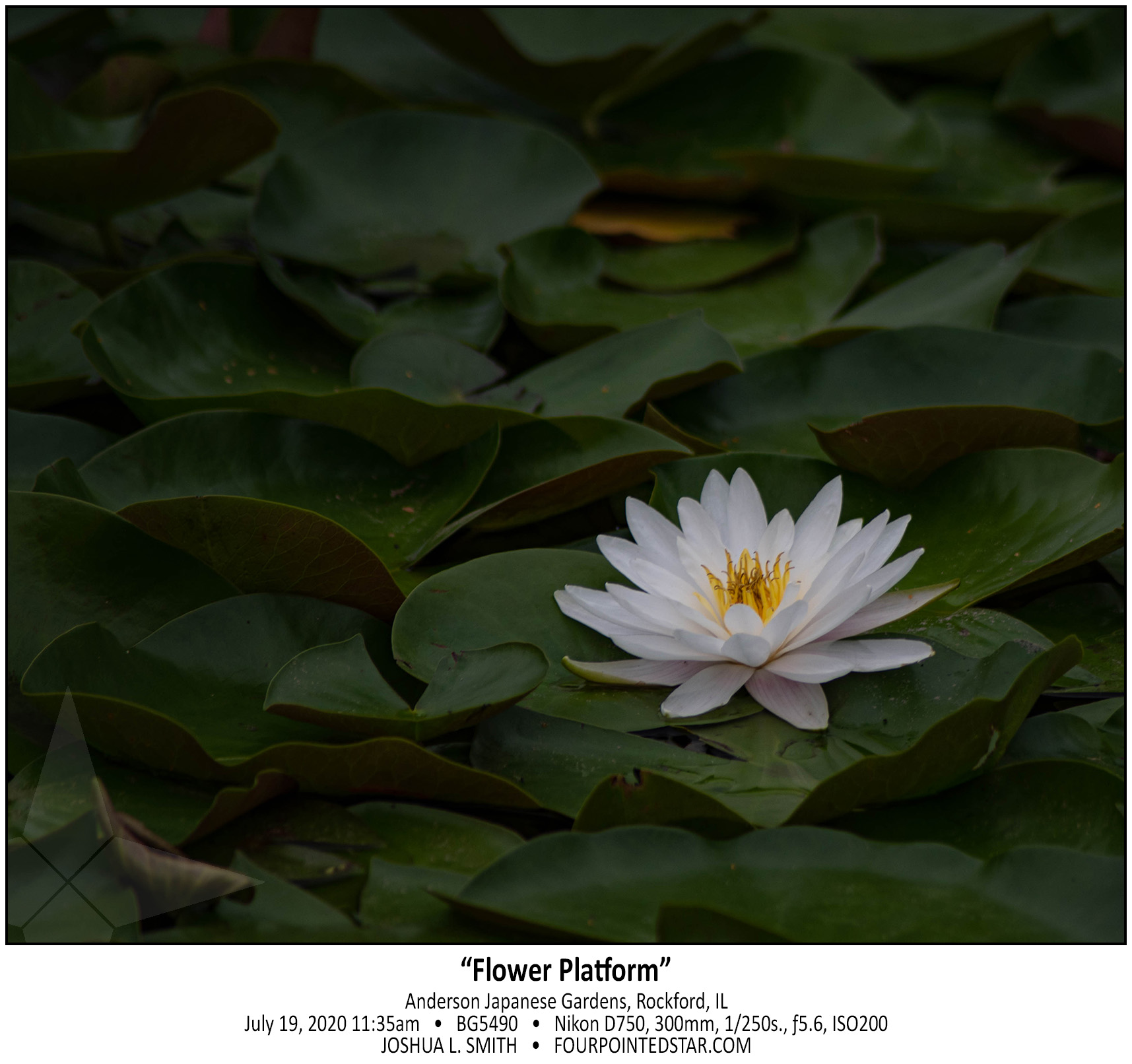 BG5490 200719 113549 copy