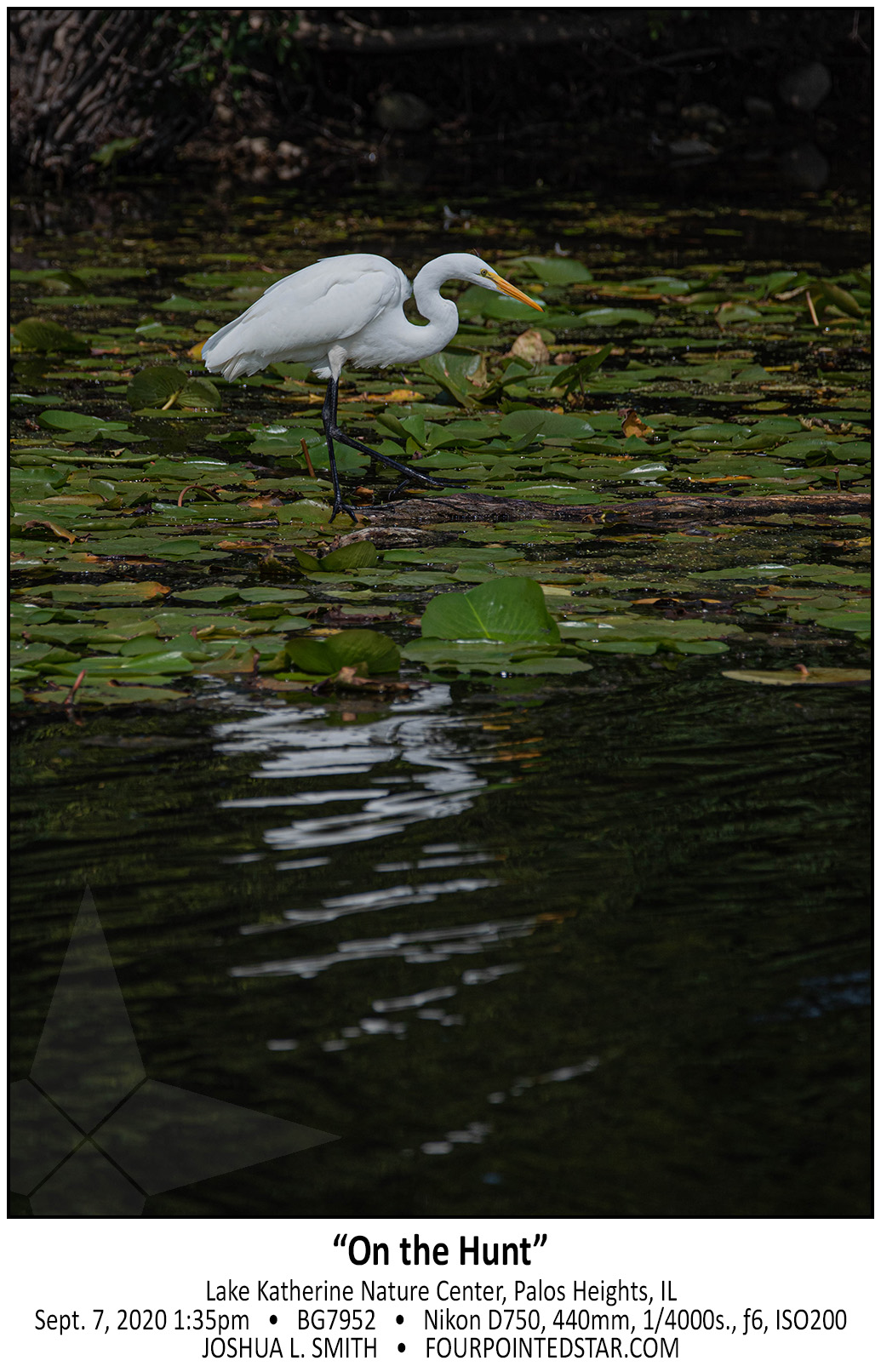 BG7952 200907 133549