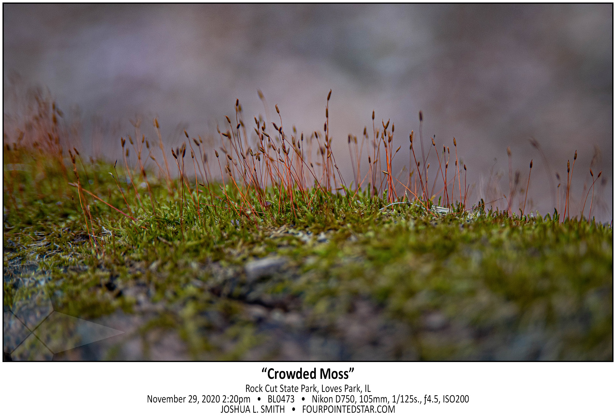 BL0473 201129 142004