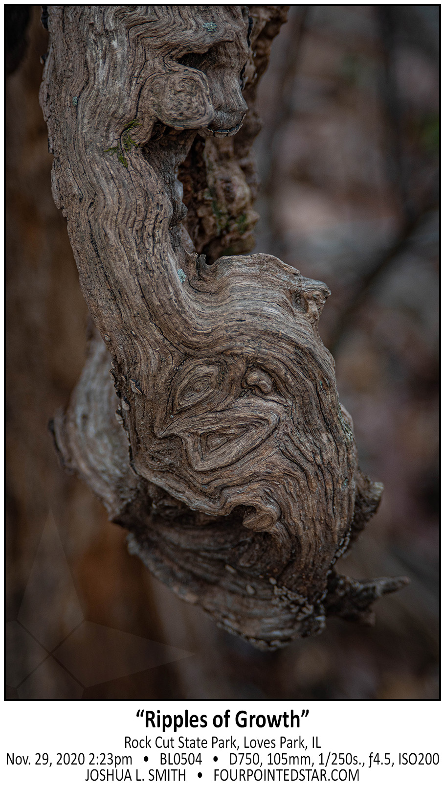 BL0504 201129 142334