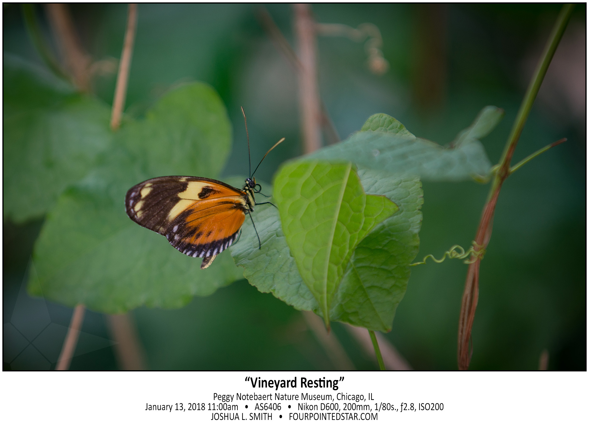 AS6406 180113 110023