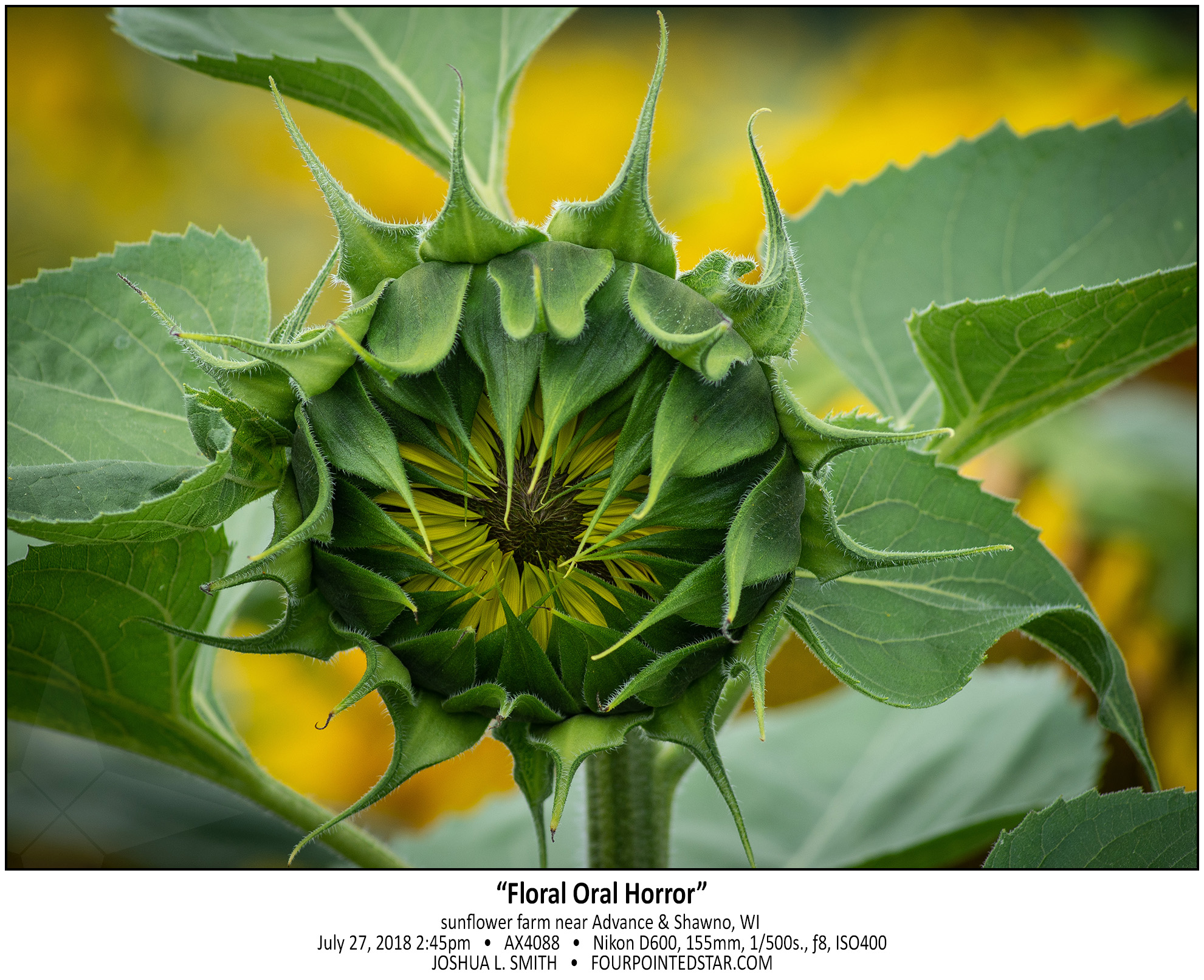 AX4088 180727 113319