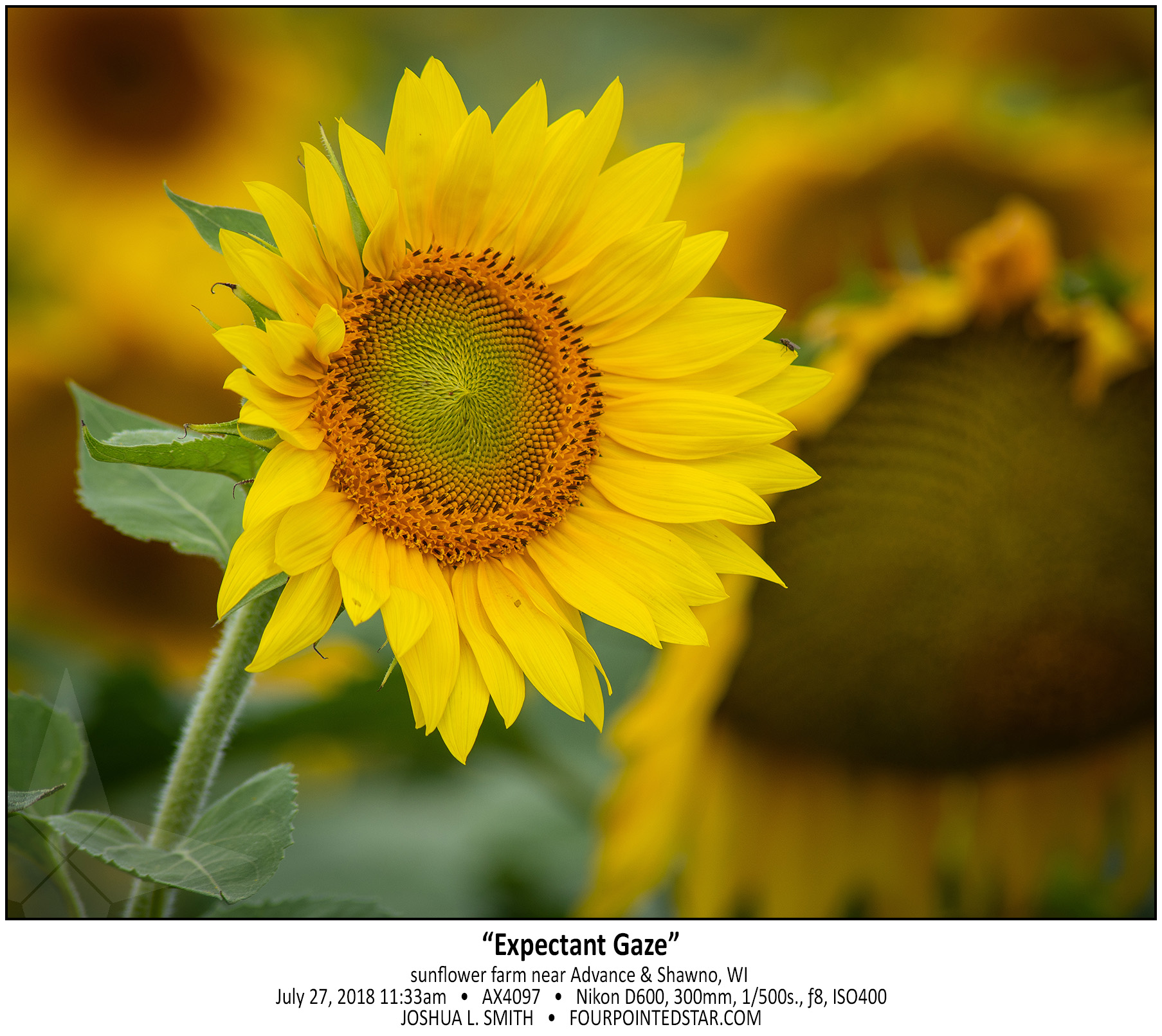 AX4097 180727 113346