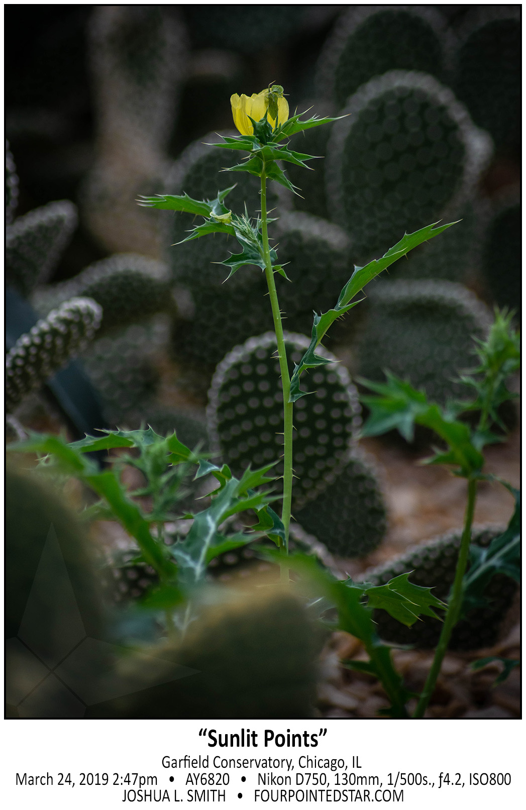 AY6820 190324 144727