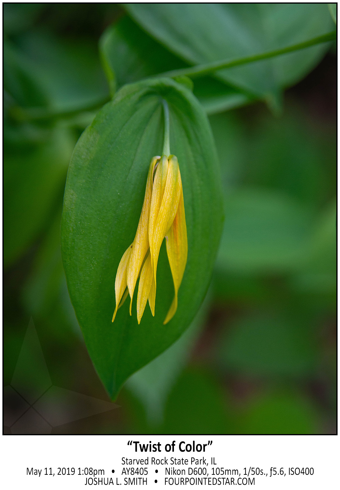 AY8405 190511 130856