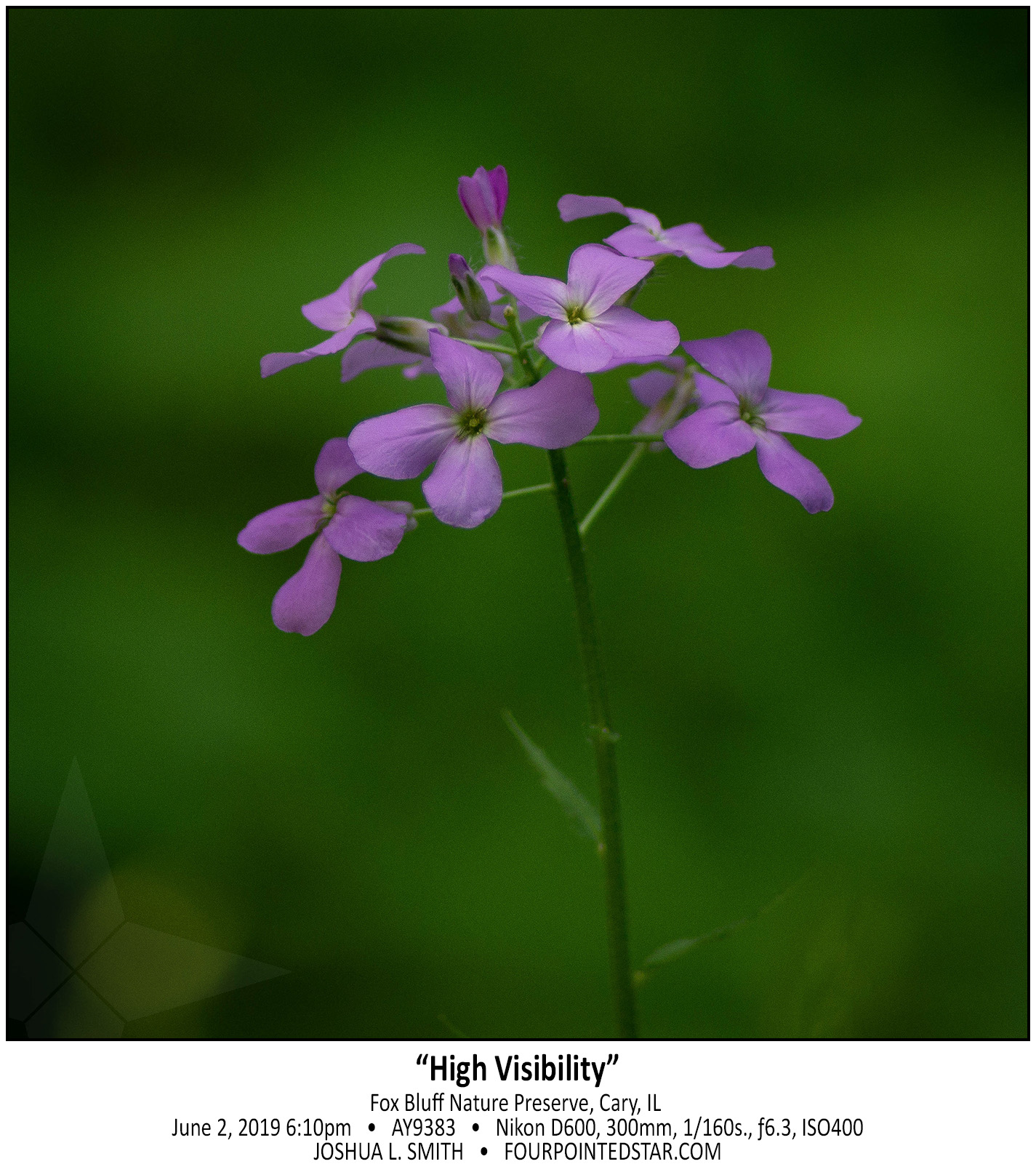 AY9383 190602 181038