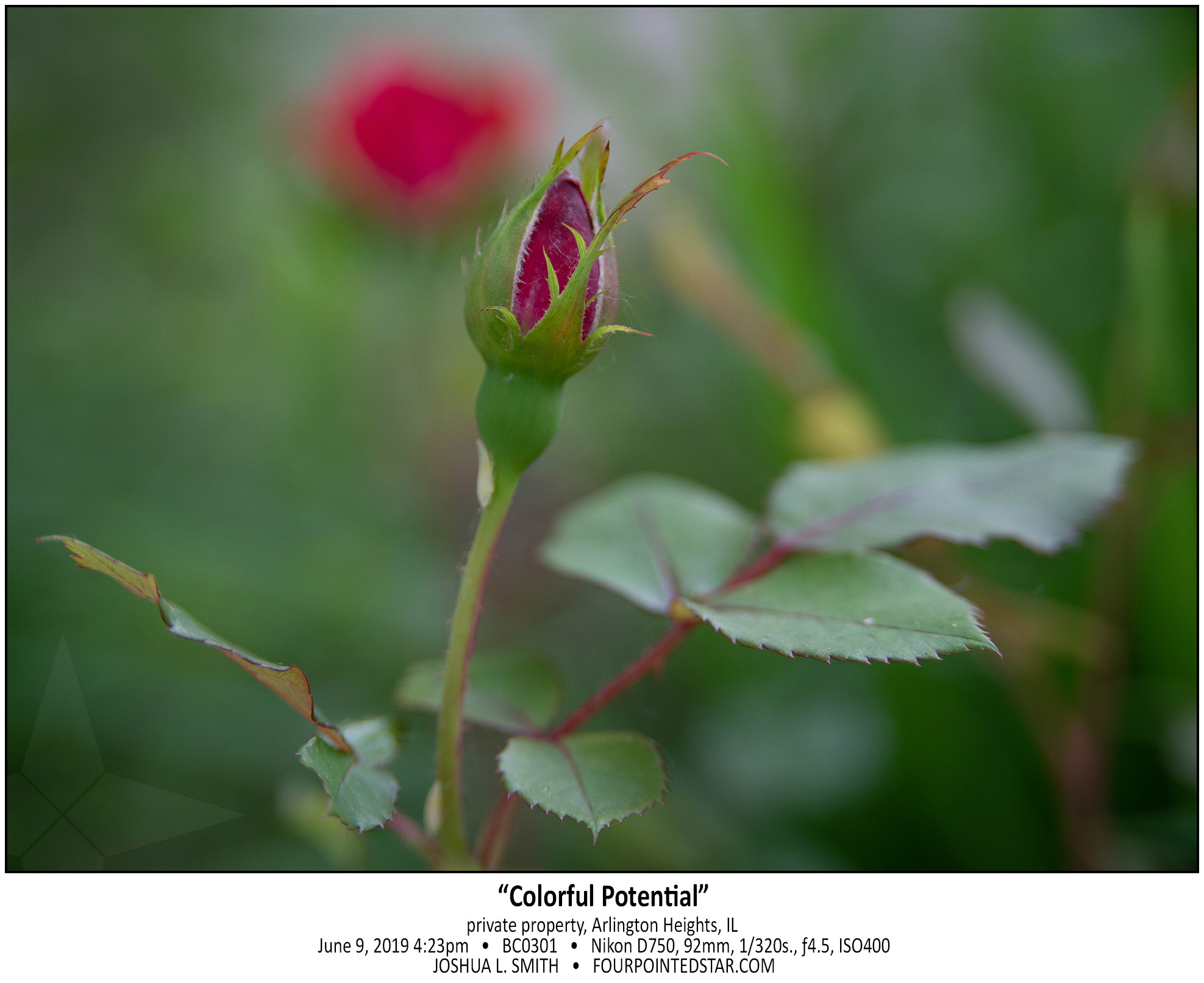 BC0301 190609 162307