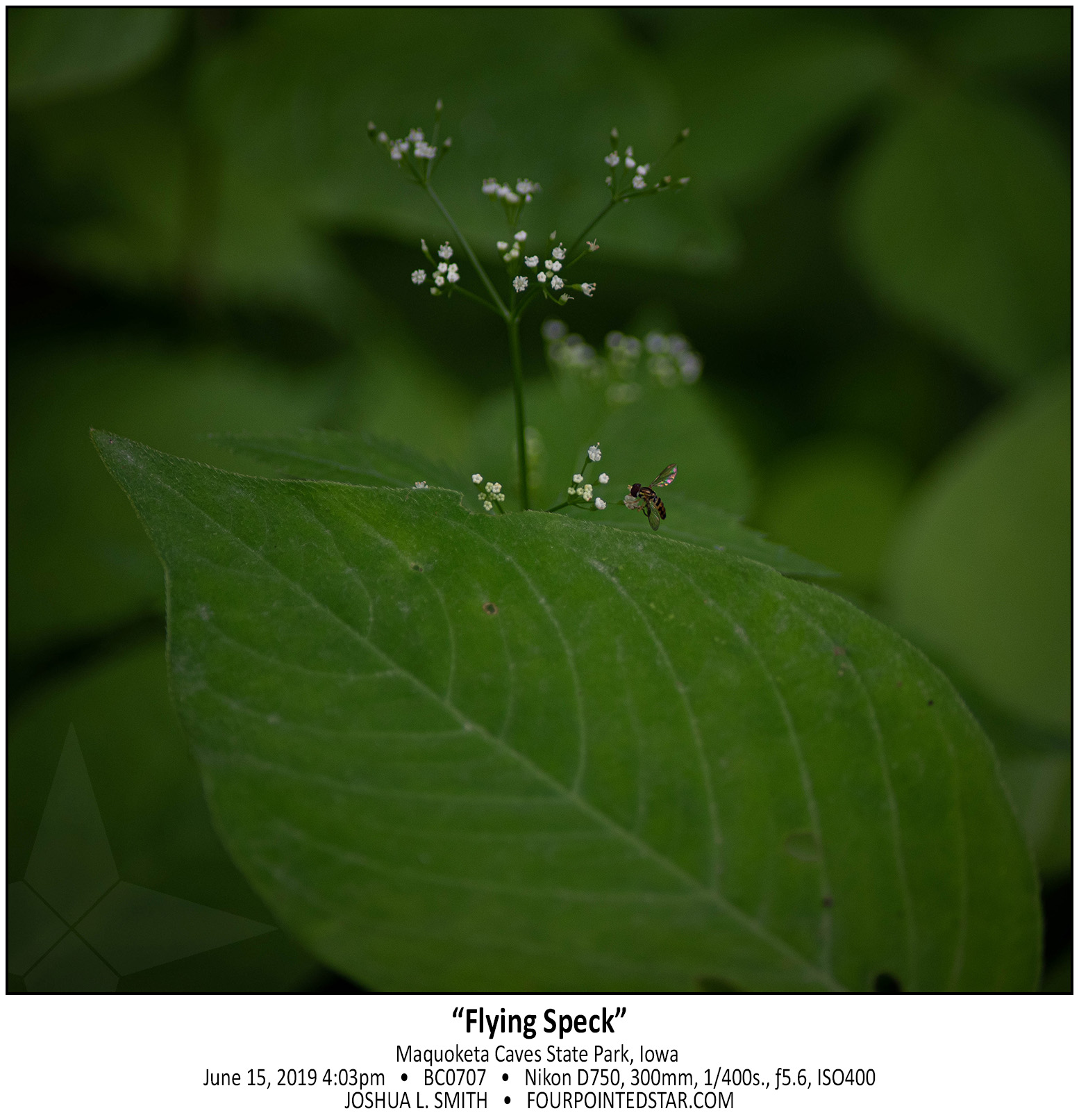 BC0707 190615 160321