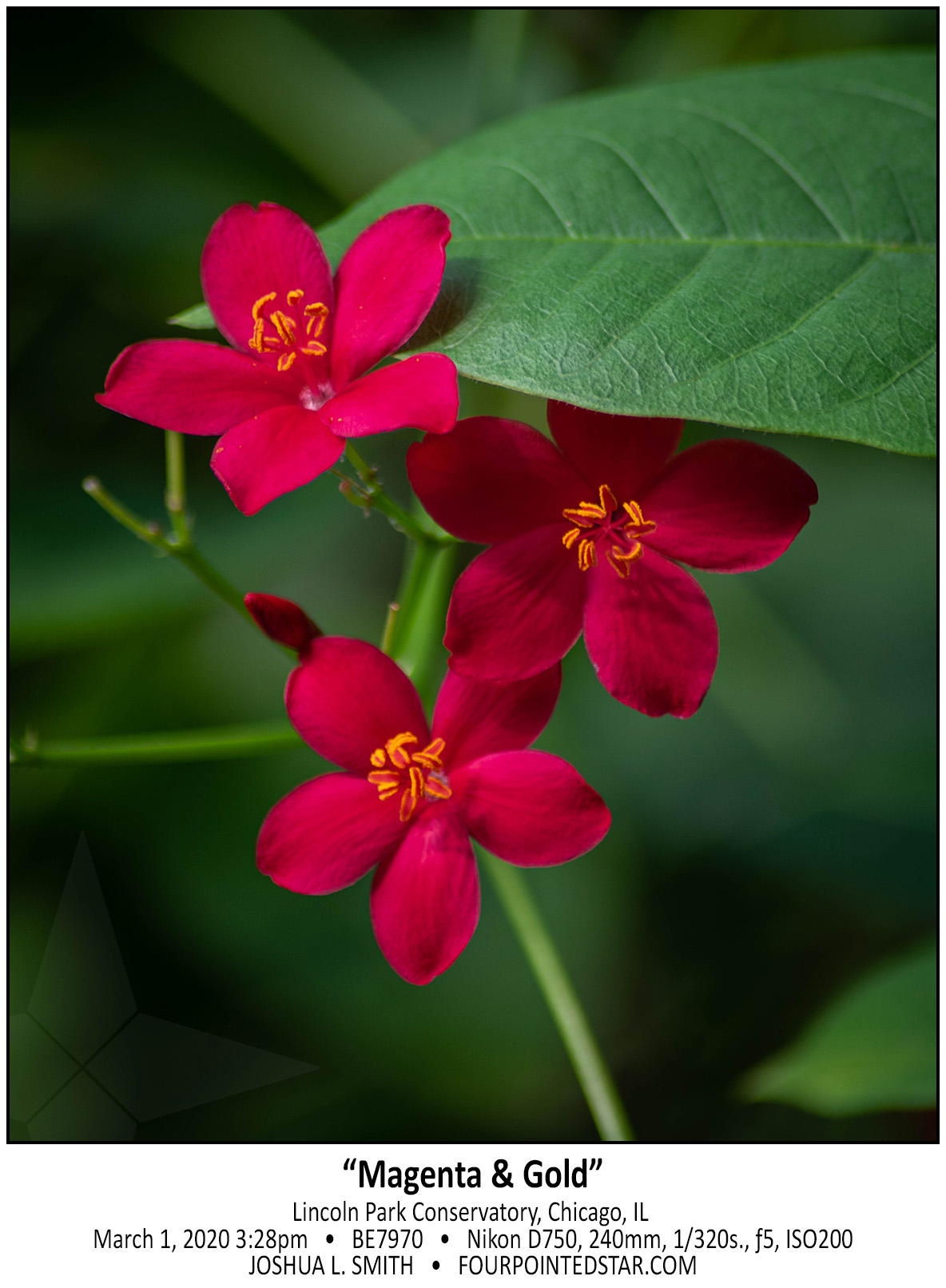 BE7970 200301 152840