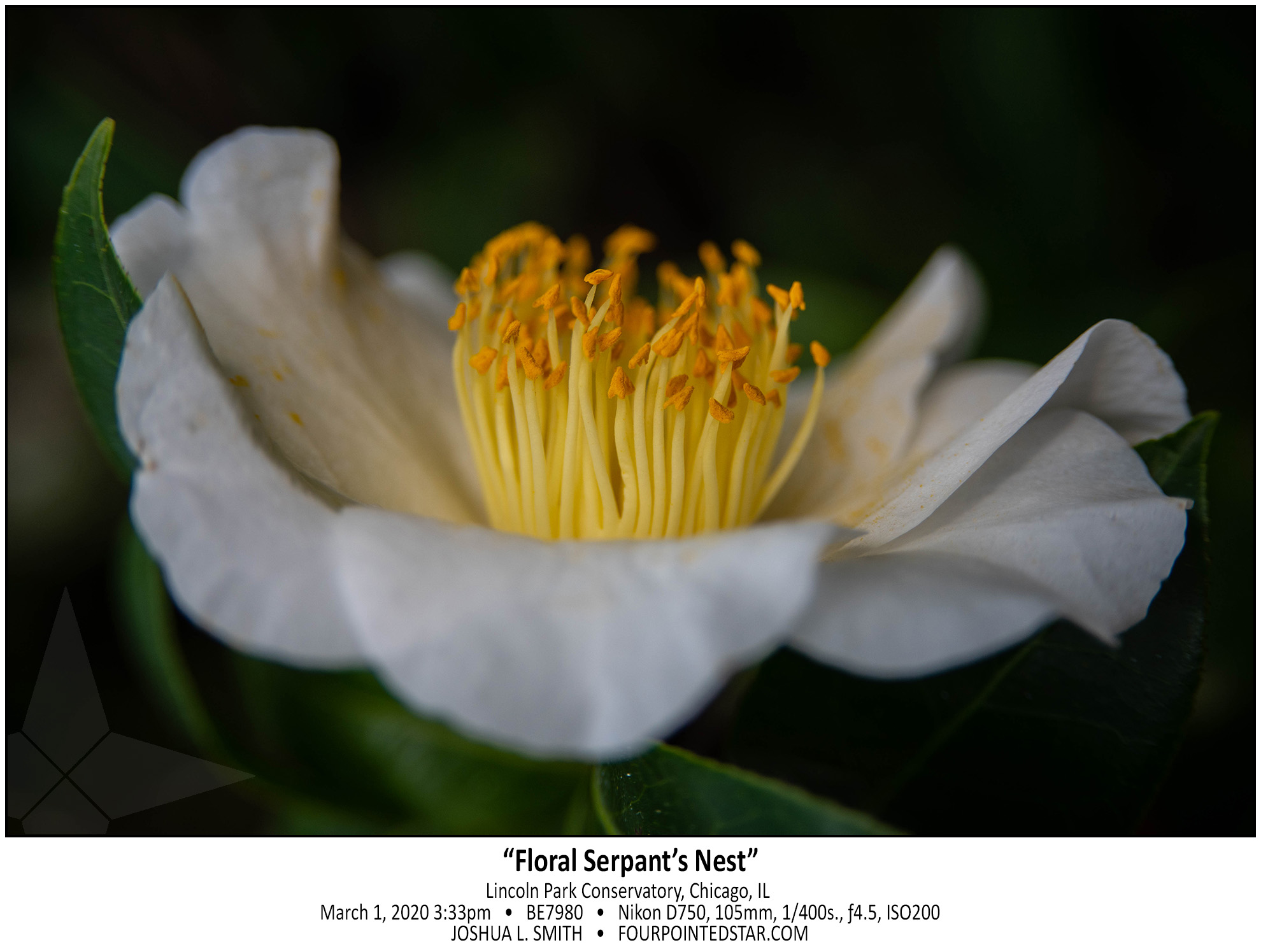 BE7980 200301 153349